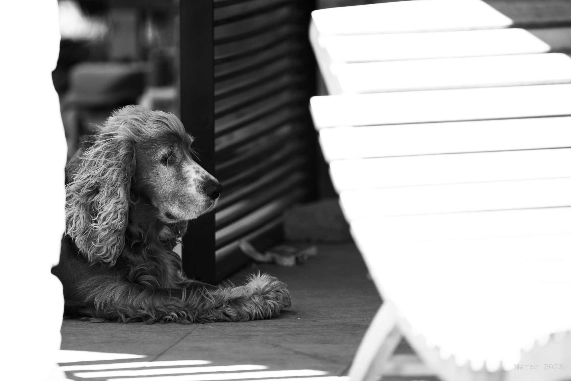 Gustavo shelters from sun and wind