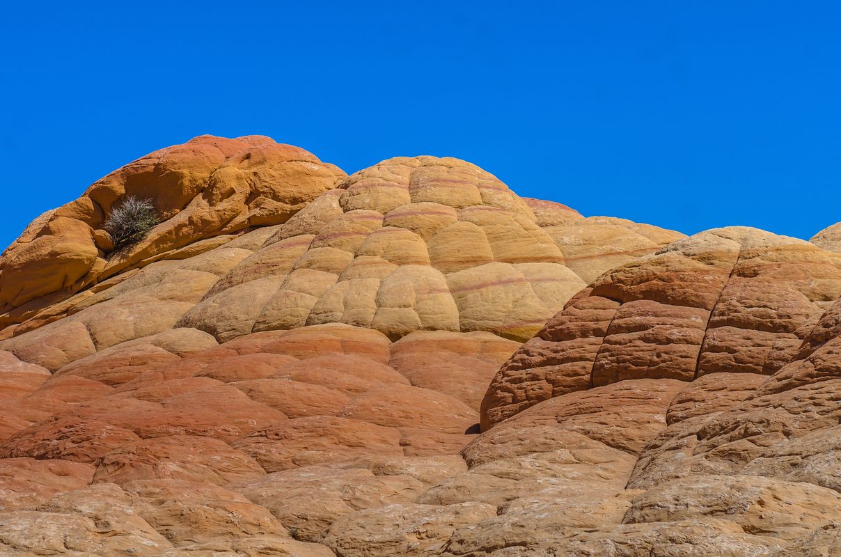 USA - Paria Canyon-Vermilion Cliffs - Utah