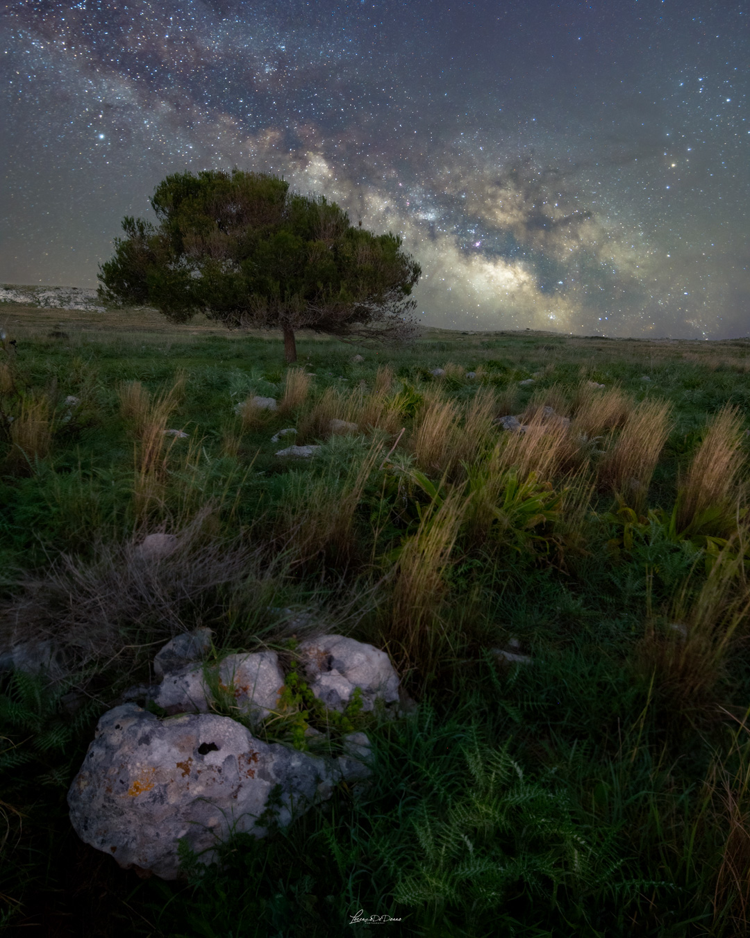La notte del solitario - Salento