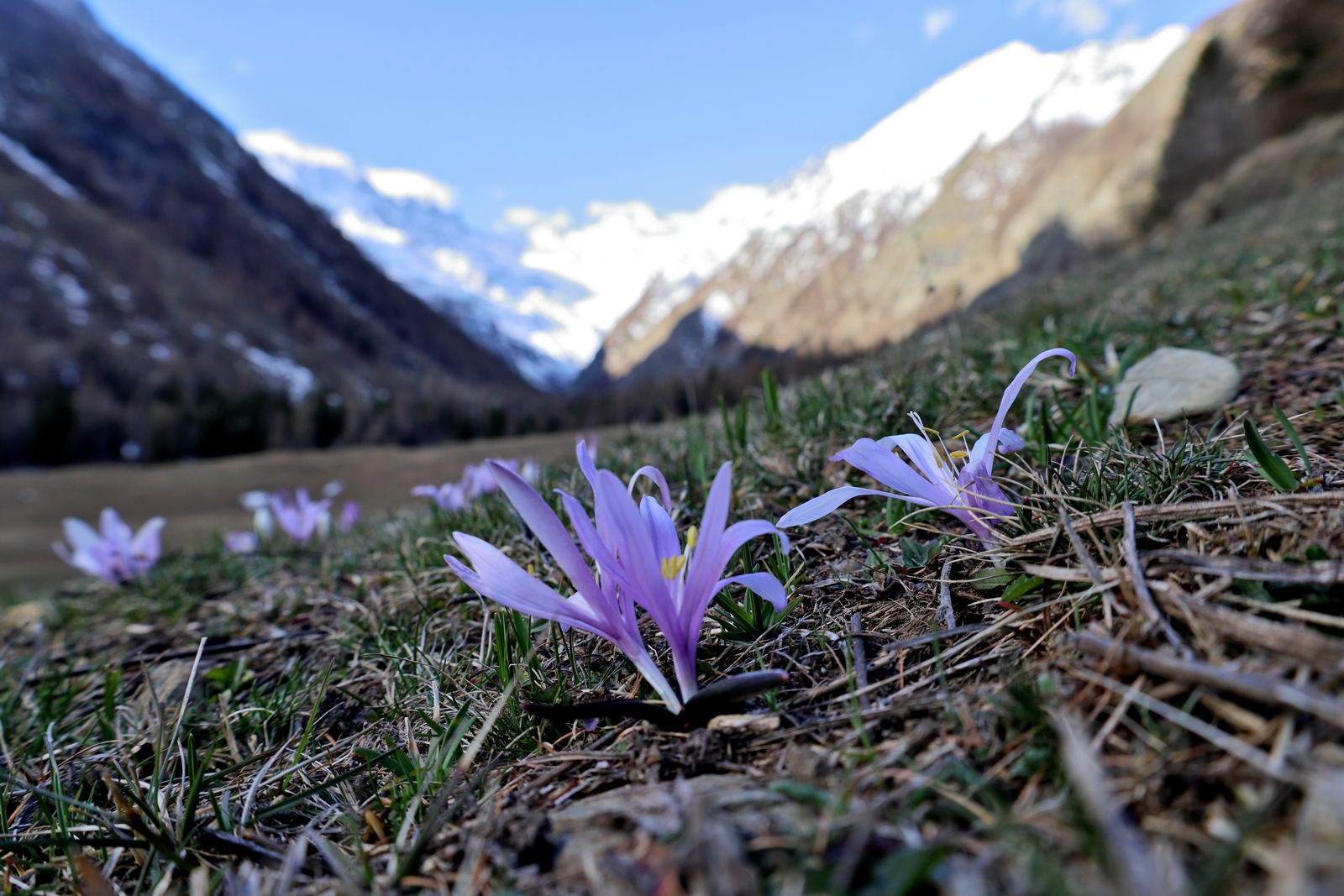 Primavera a Valnontey