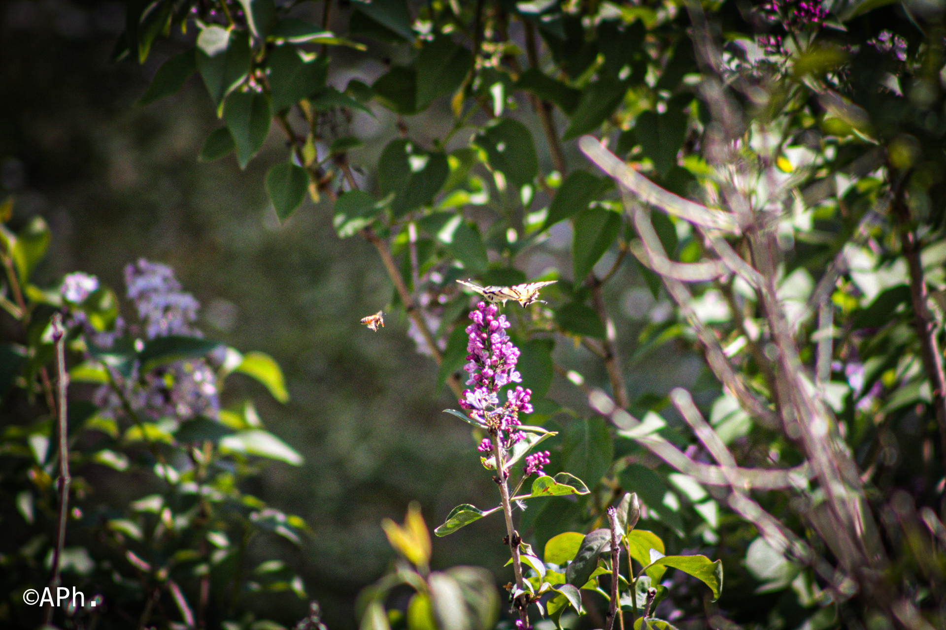 L'amore unisce e annienta ogni male.