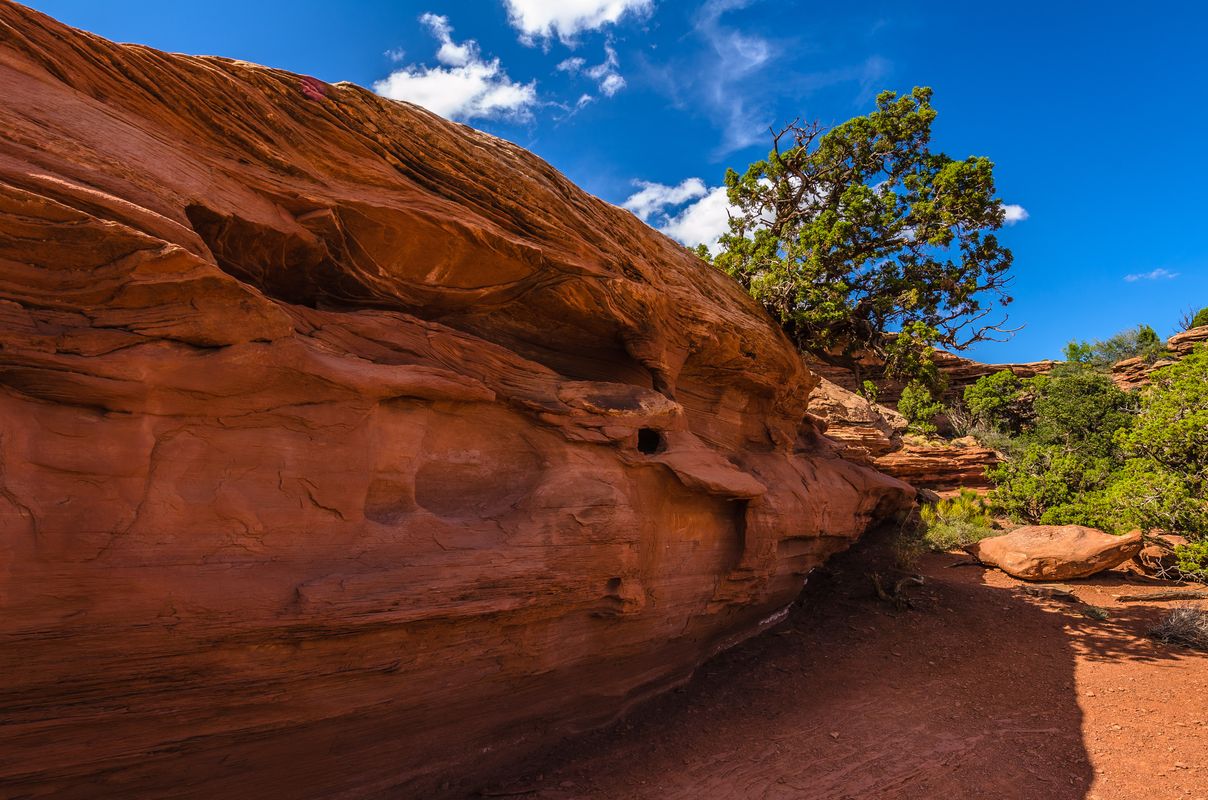 USA - Canyonlands - Island in the Sky - Utah