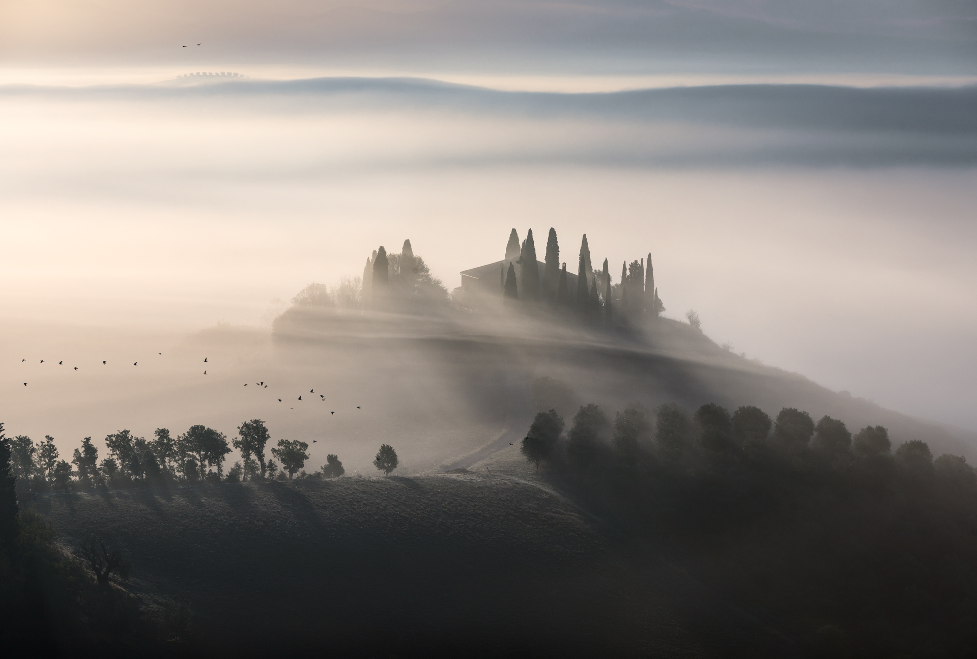 Podere Belvedere - San Quirico d'Orcia