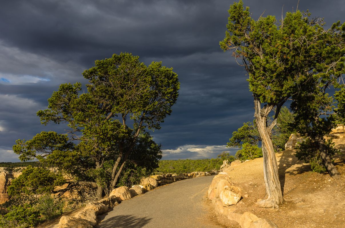 USA - Grand Canyon - South Rim - Arizona