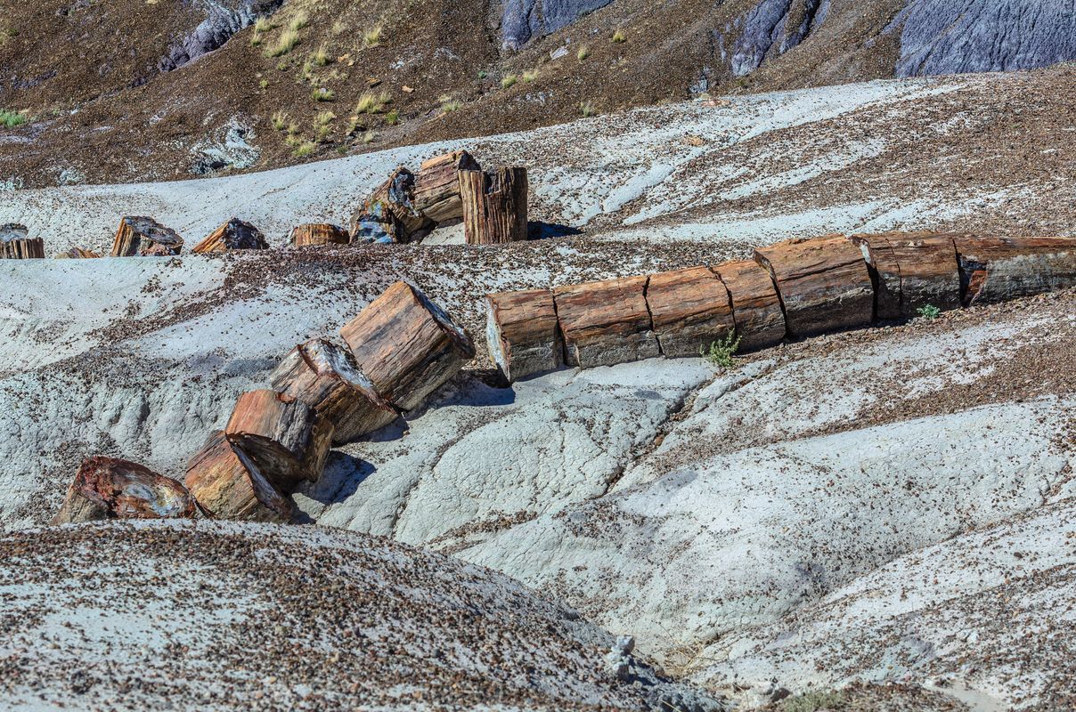 USA - Painted Desert/Petrified Forest - Arizona