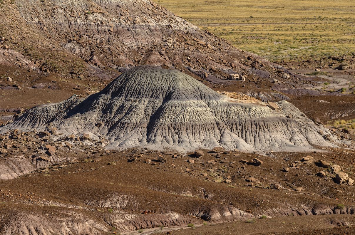 USA - Painted Desert/Petrified Forest - Arizona