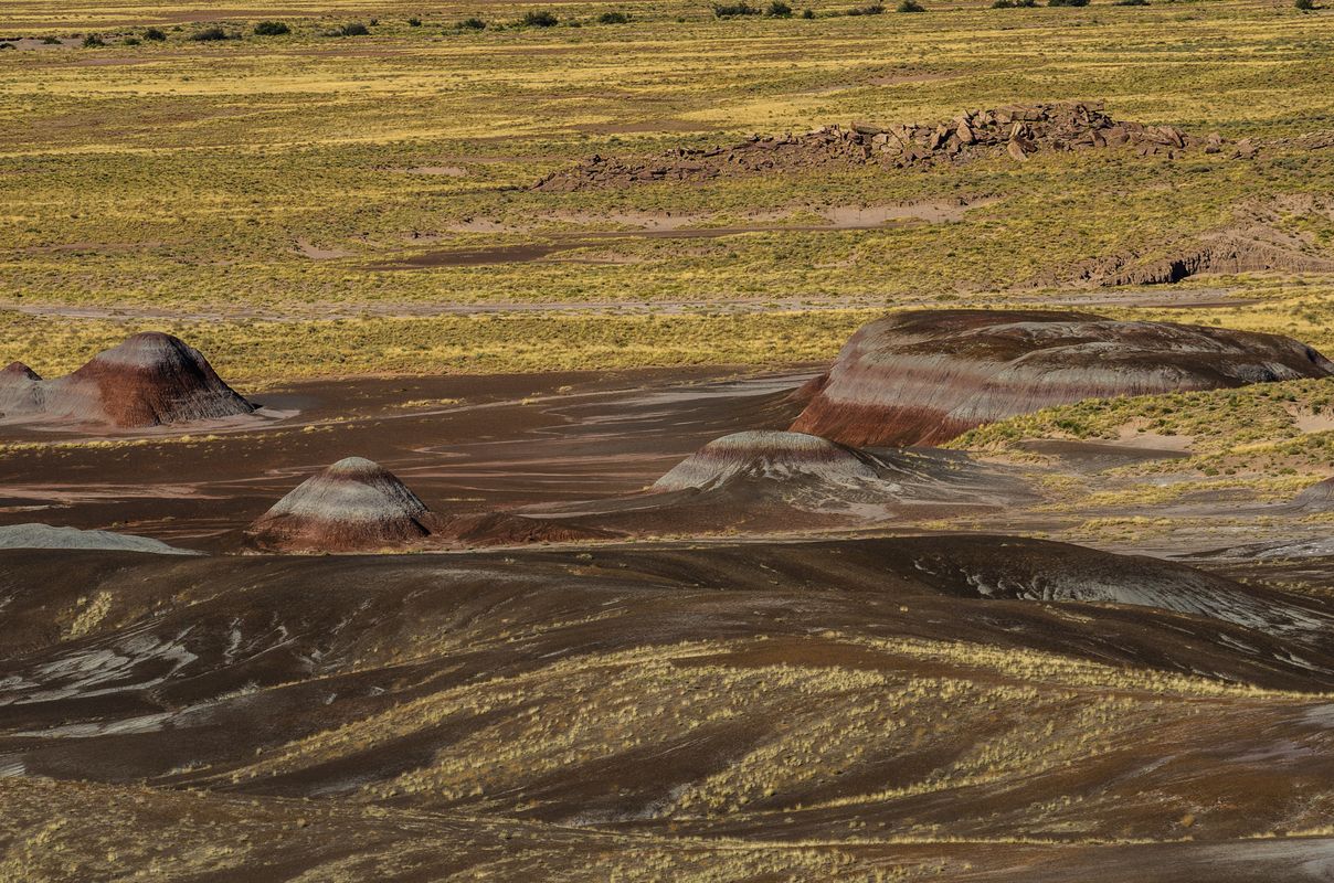 USA - Painted Desert/Petrified Forest - Arizona