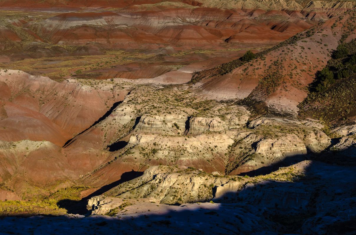 USA - Painted Desert/Petrified Forest - Arizona