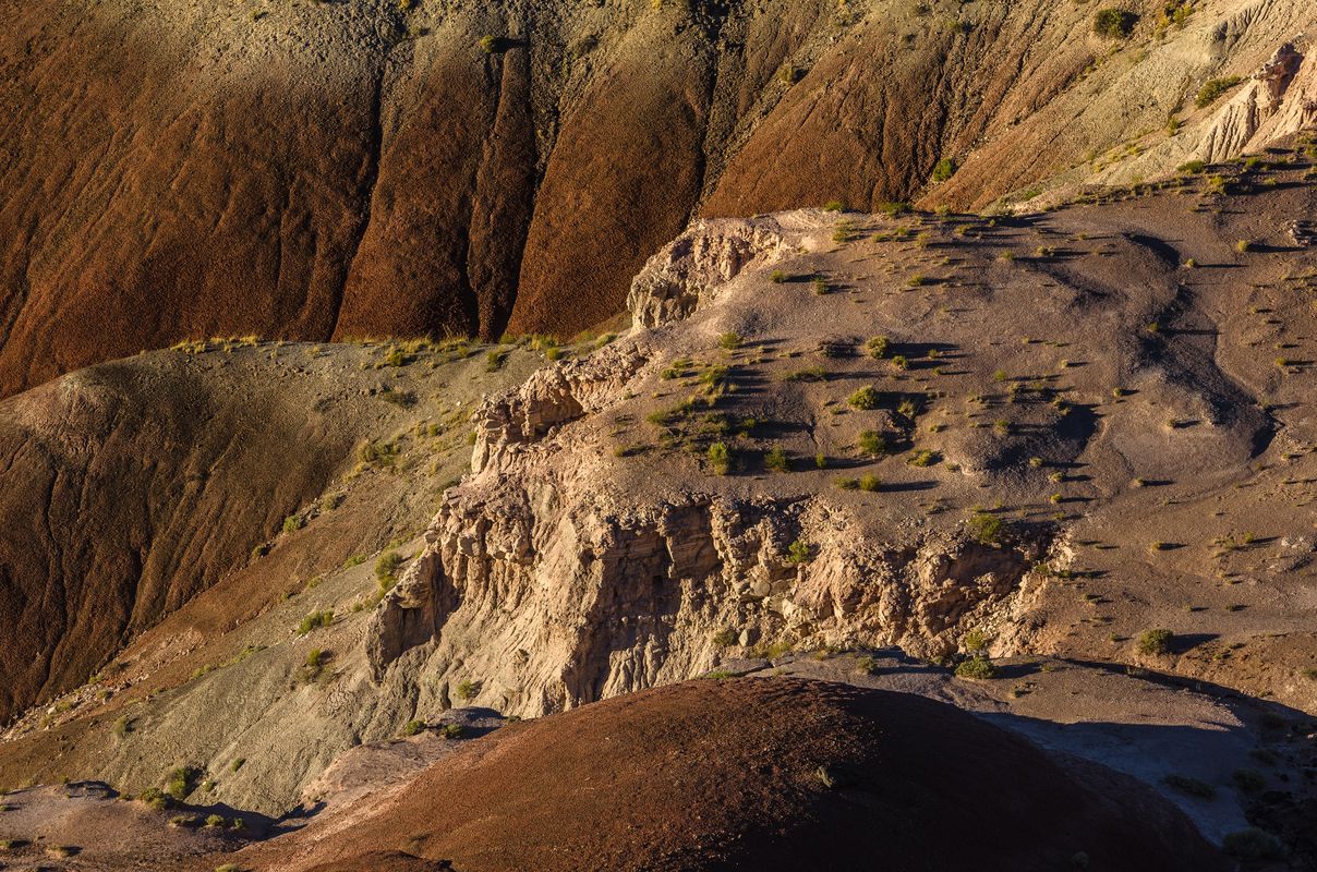 USA - Painted Desert/Petrified Forest - Arizona