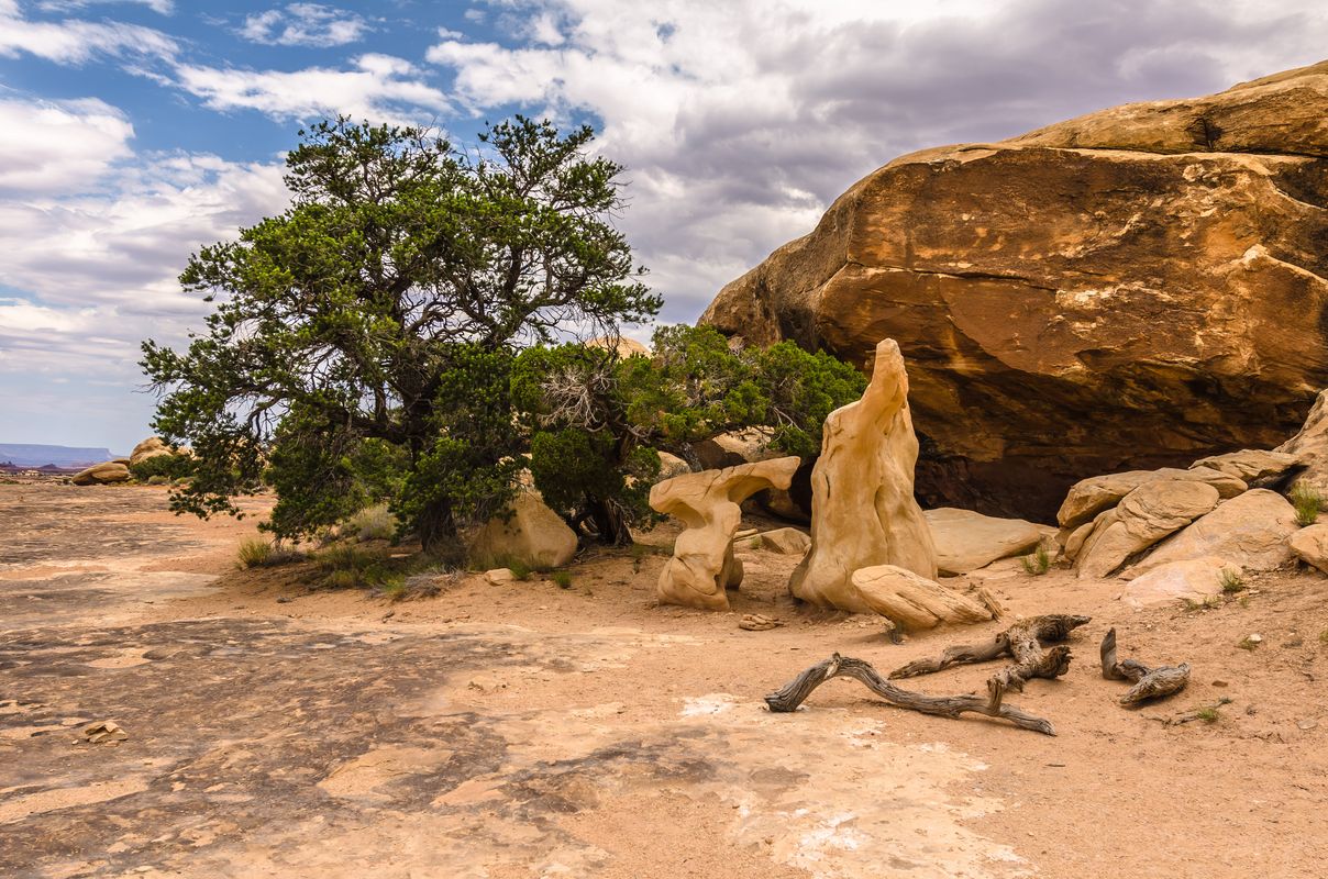 USA - Canyonlands - Utah