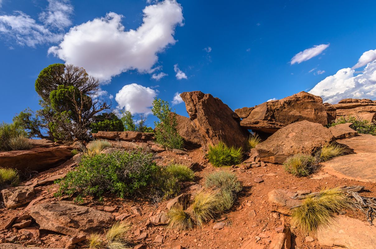 USA - Canyonlands - Utah