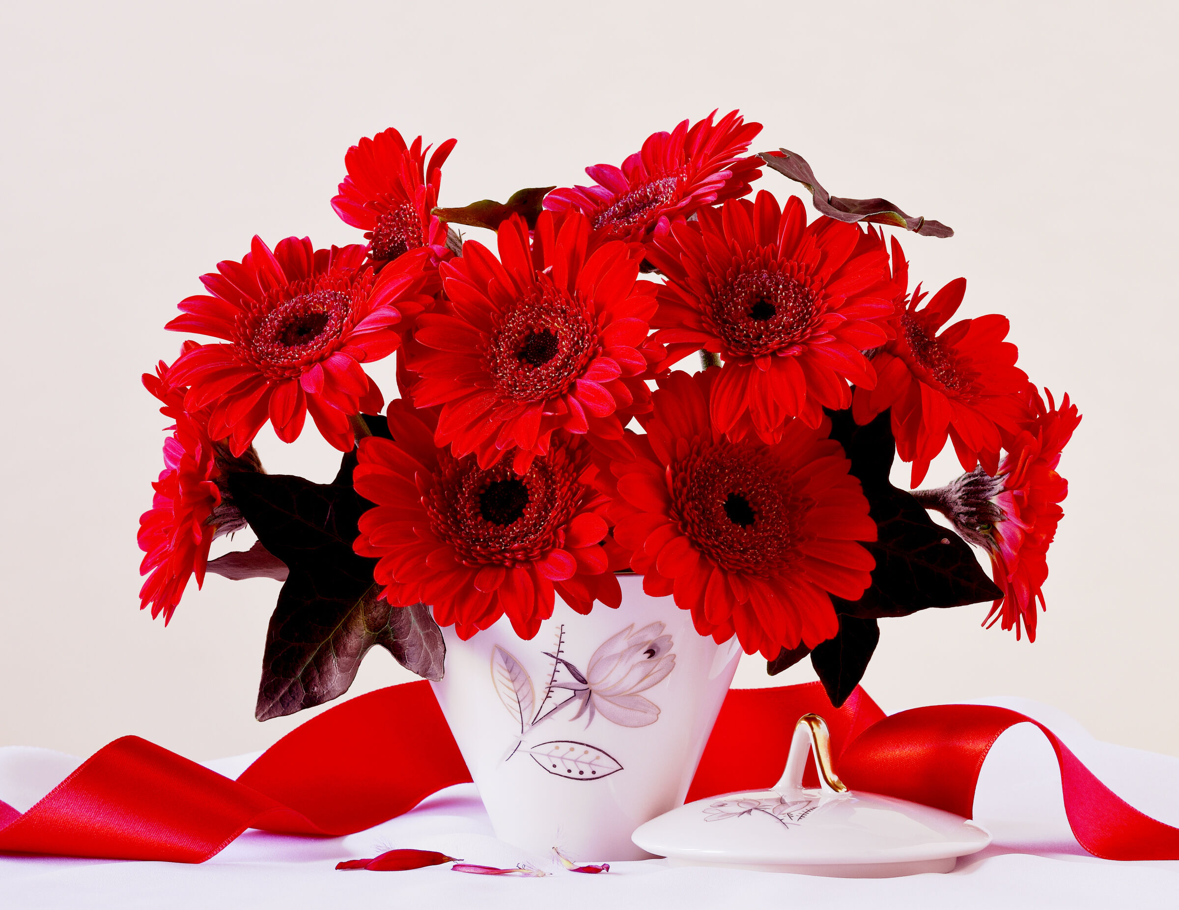Other gerberas