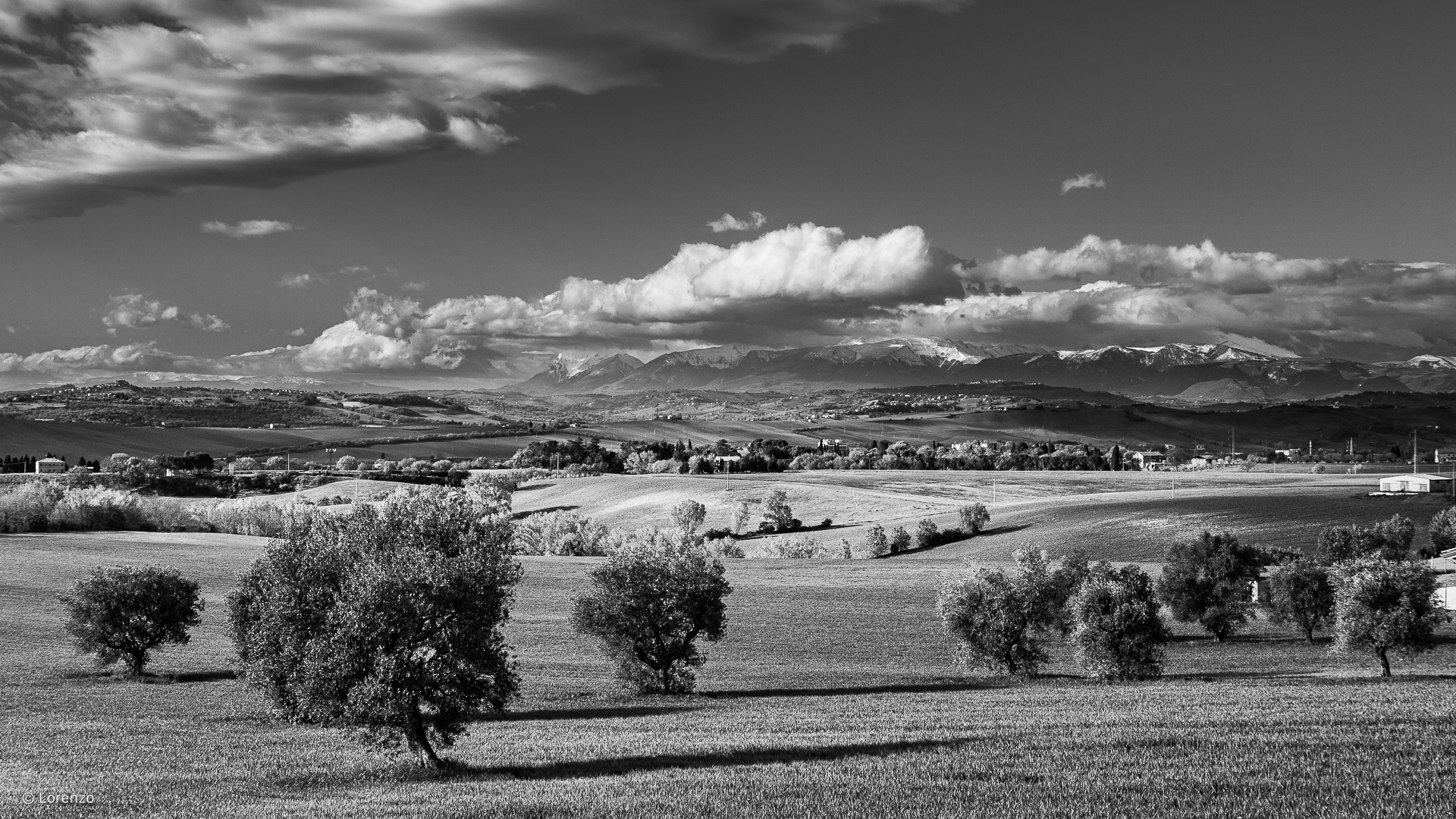 campagna maceratese