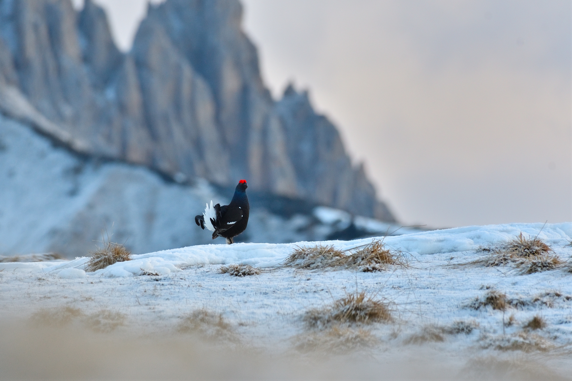 Dolomites and...