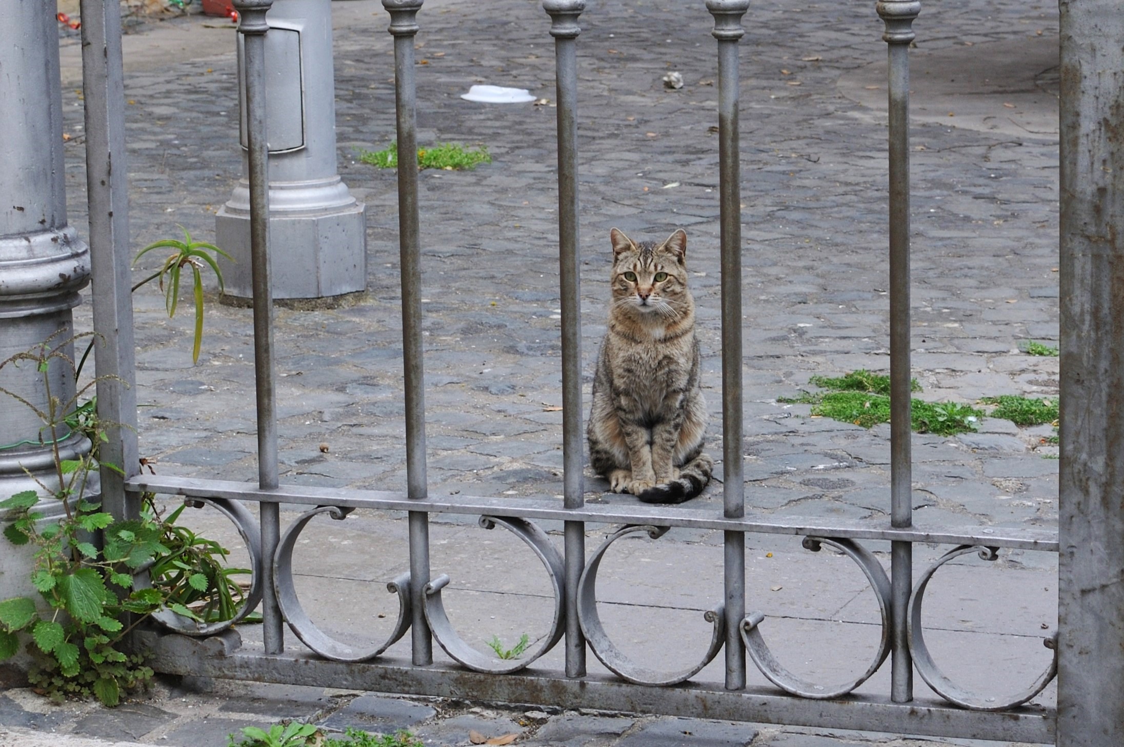 Serious and composed