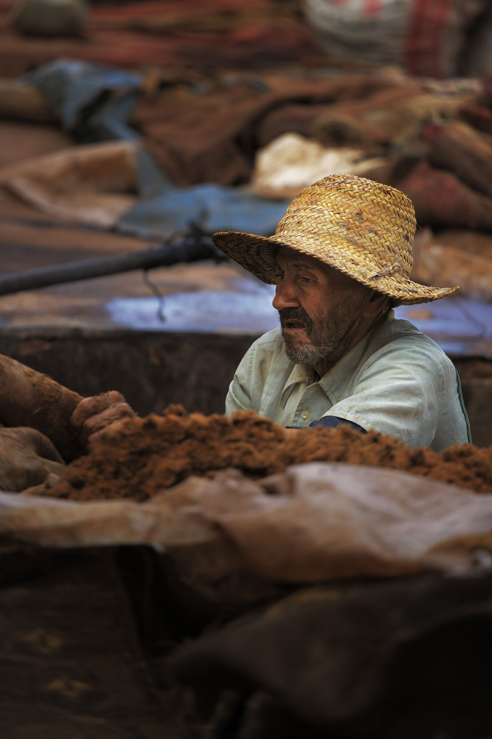 Nelle Fosse di Marrakech