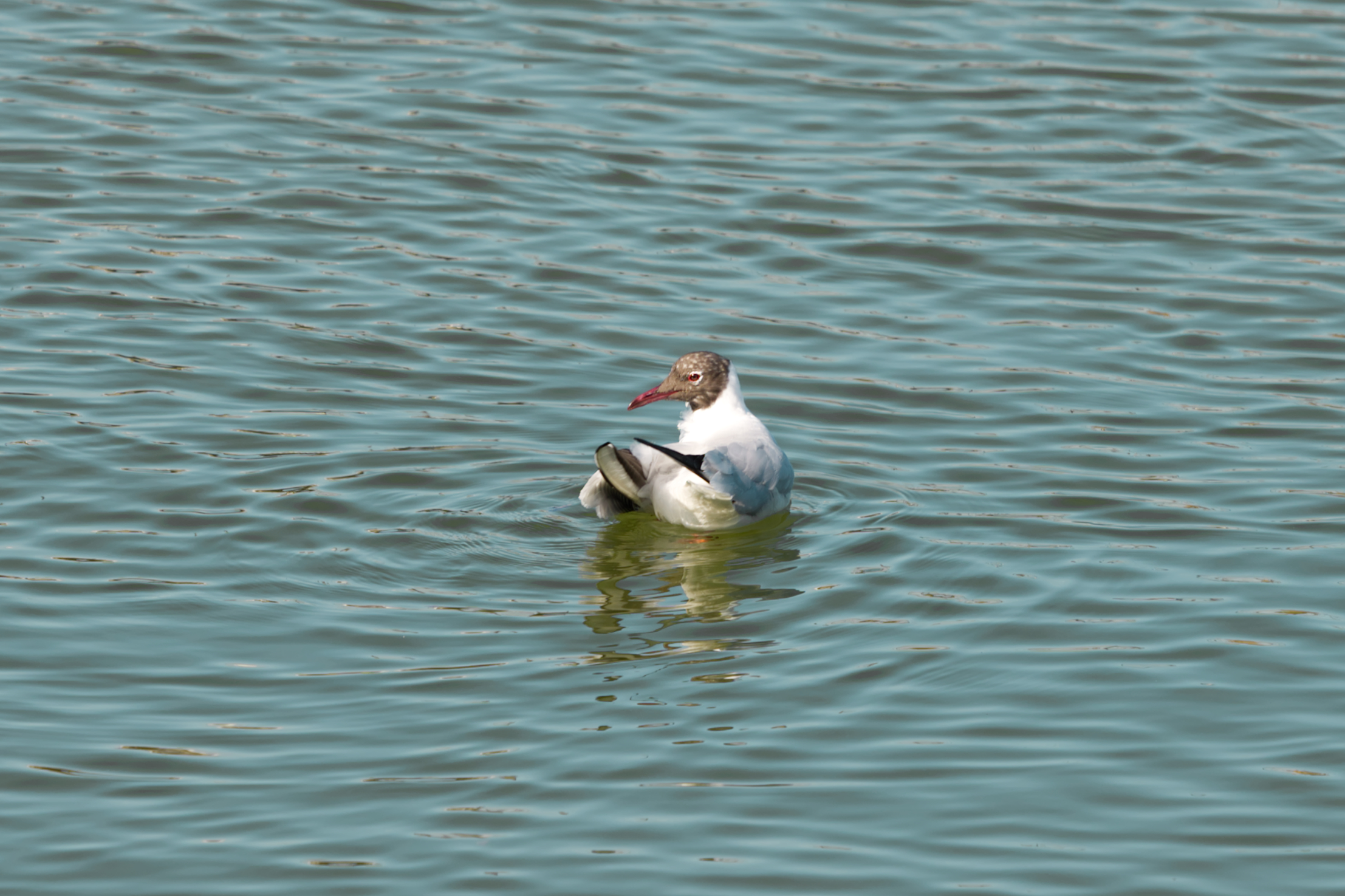 Tra inverno ed estate
