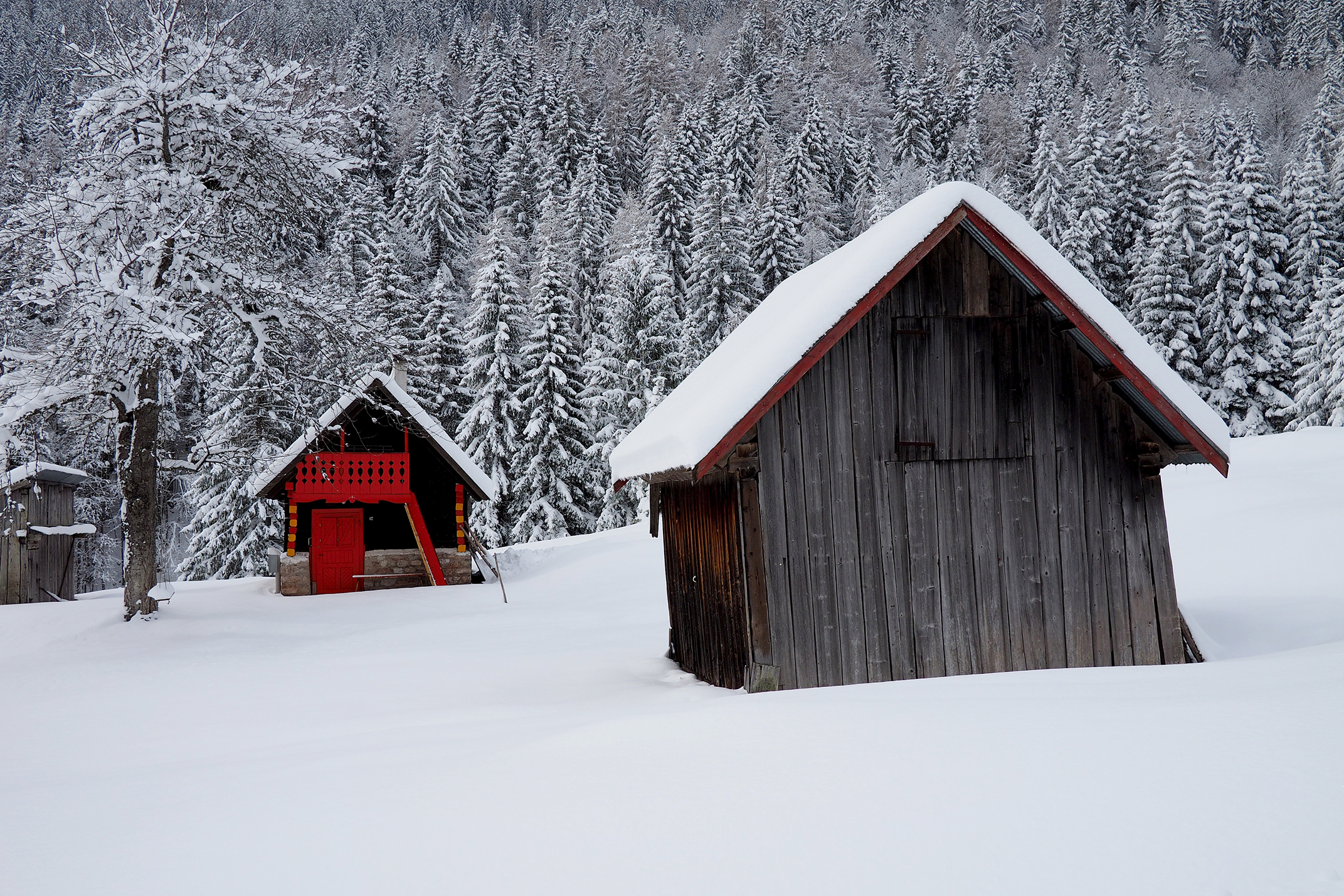 Spring in Val Rauna - Eastern Carnic Alps