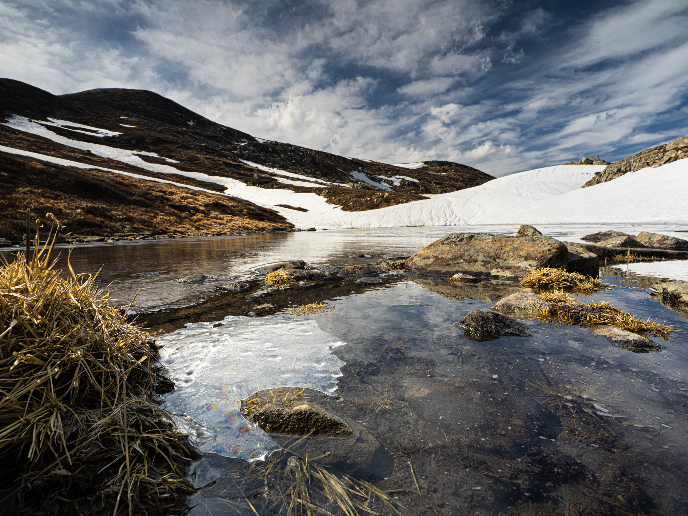 Thaw