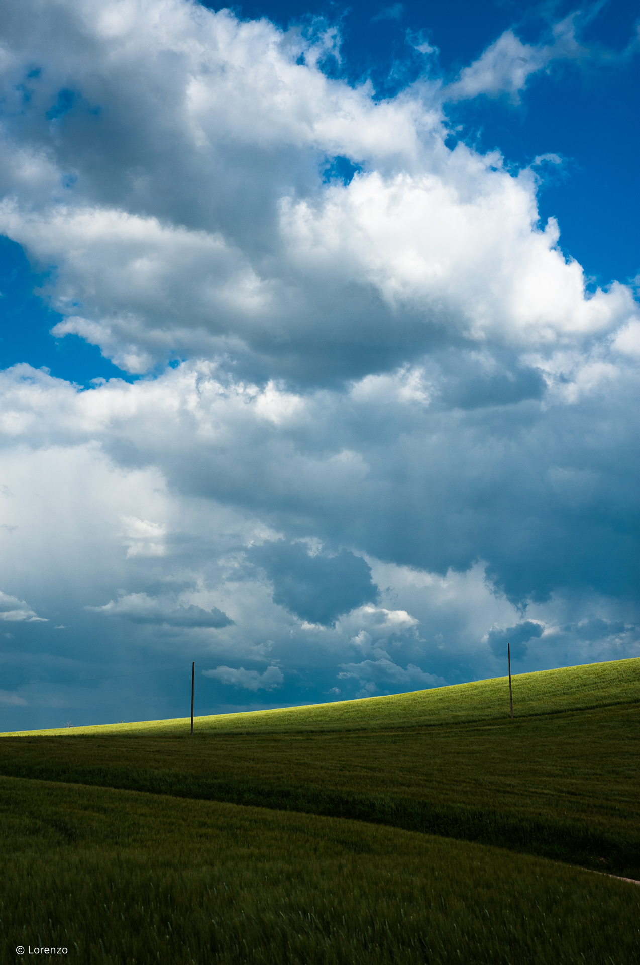 Macerata countryside