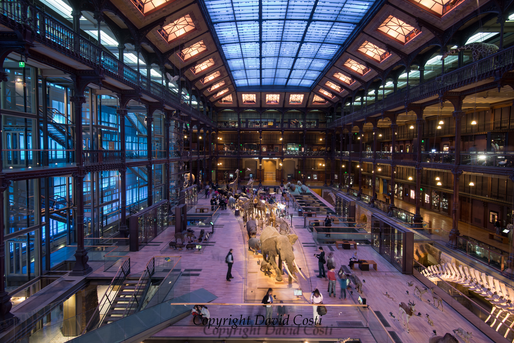 Musée National d'Histoire naturelle