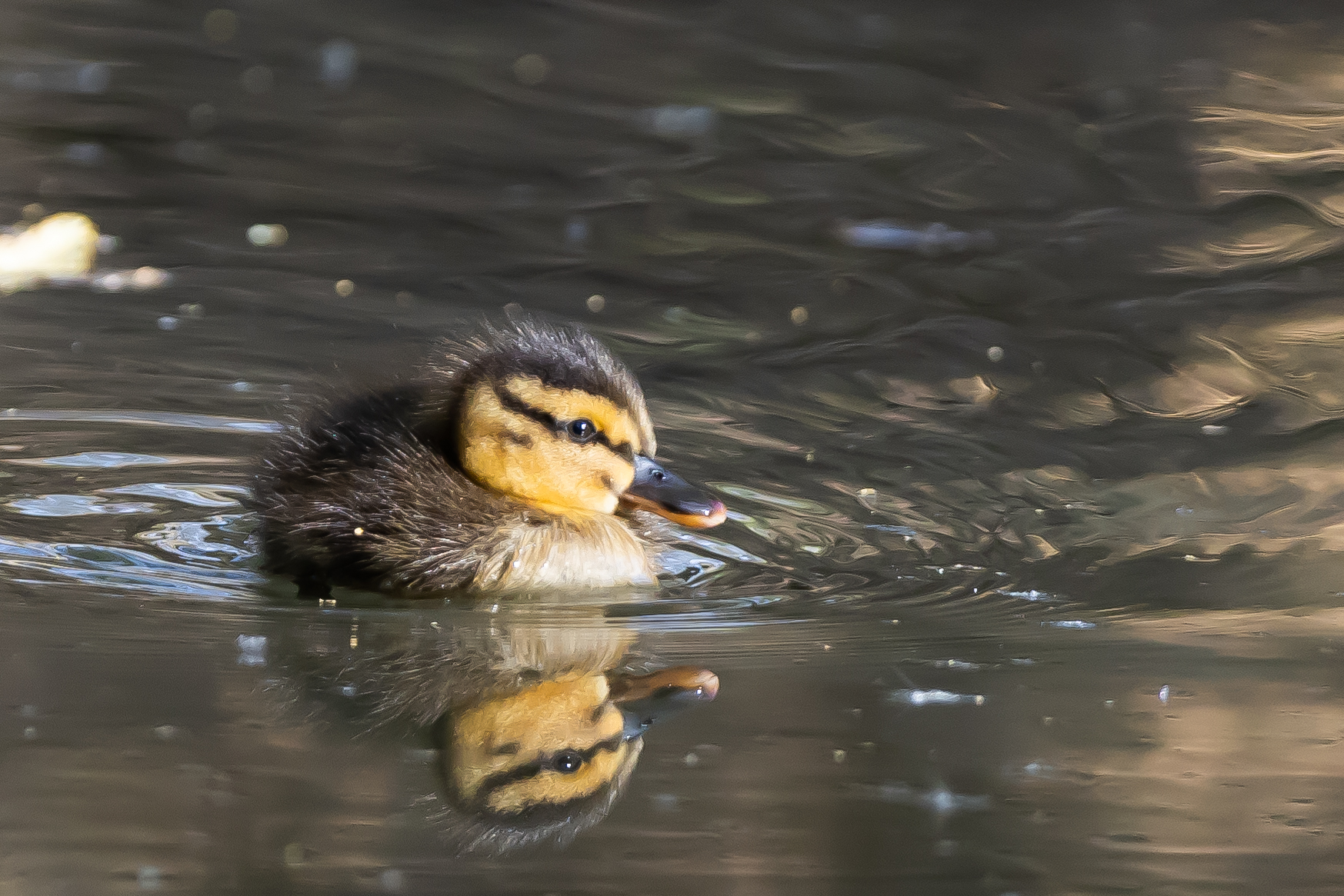 So cute... so tender.