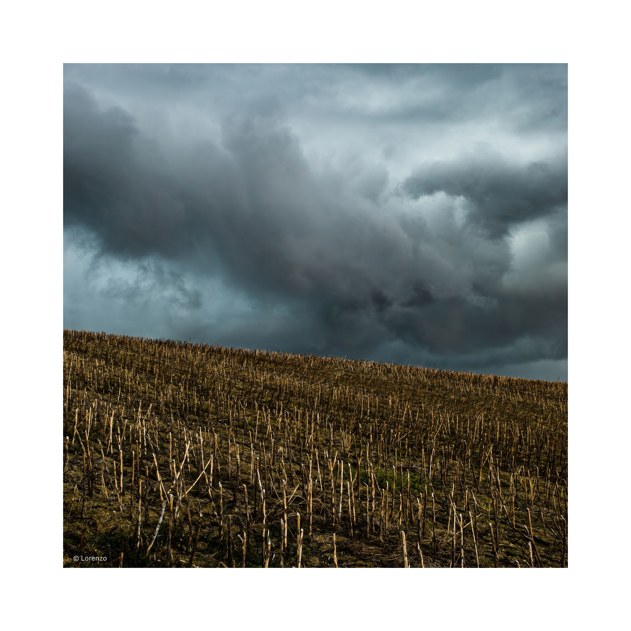 campagna maceratese