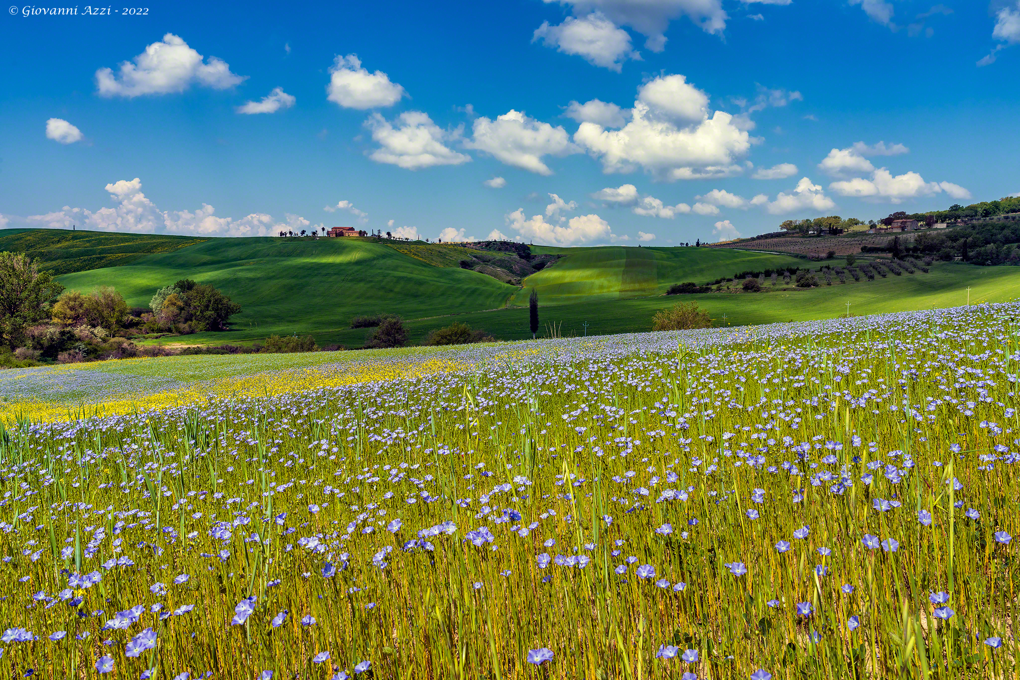 Scorcio primaverile in Val d'Orcia