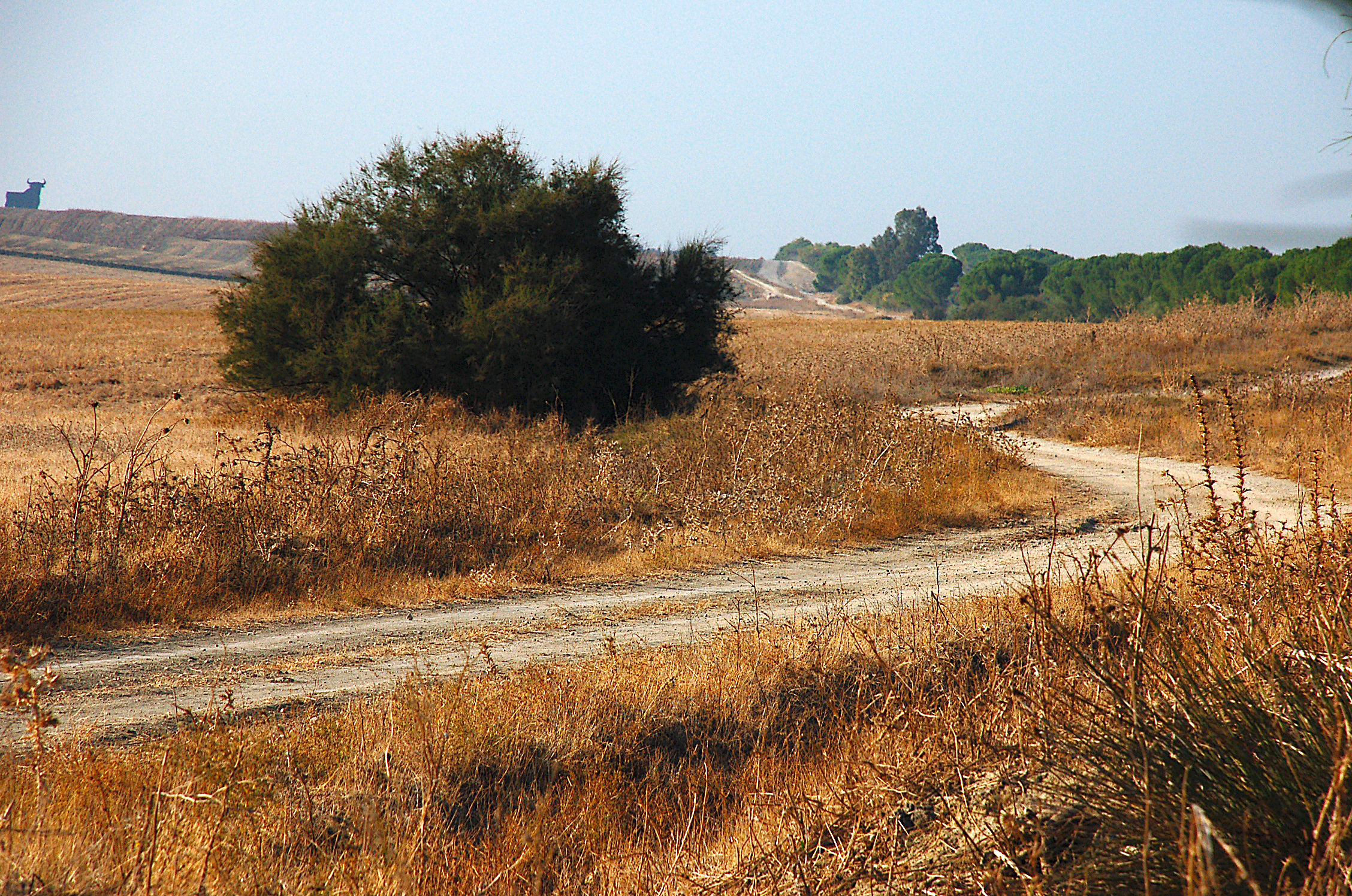 Andalusian countryside