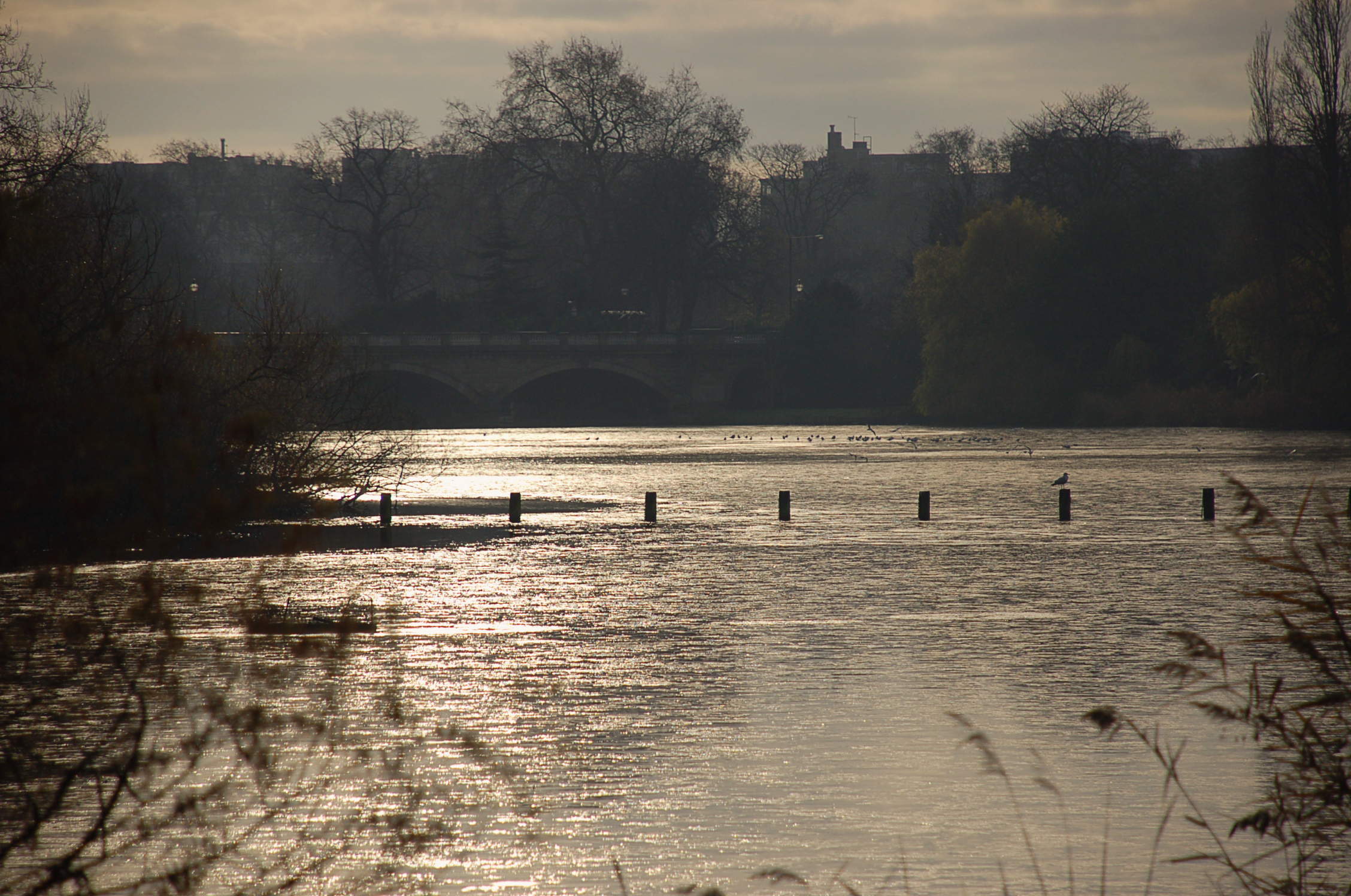 Sunrise On Hyde Park