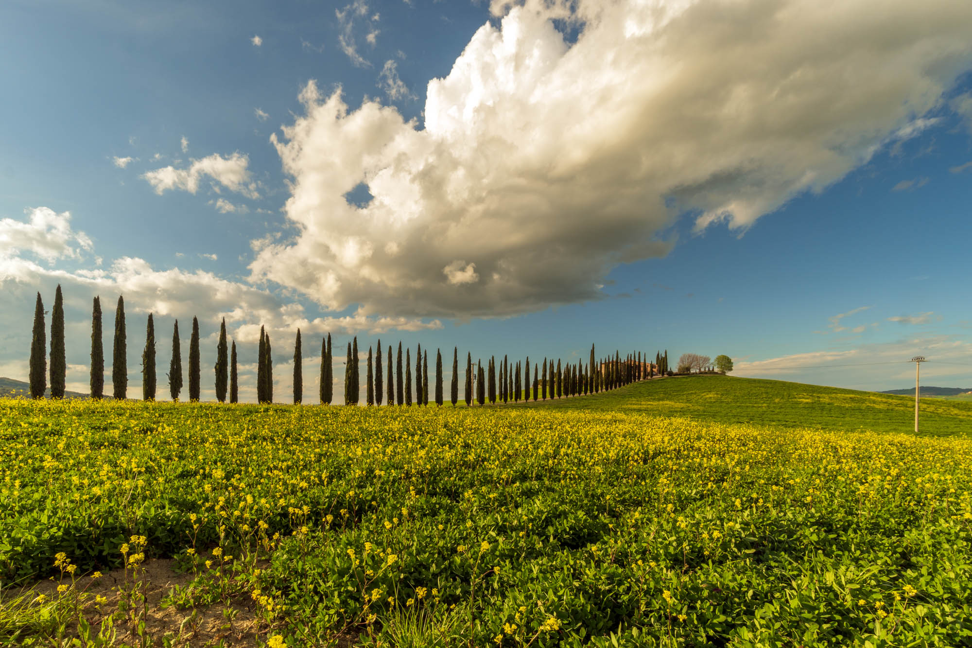 Val d'Orcia