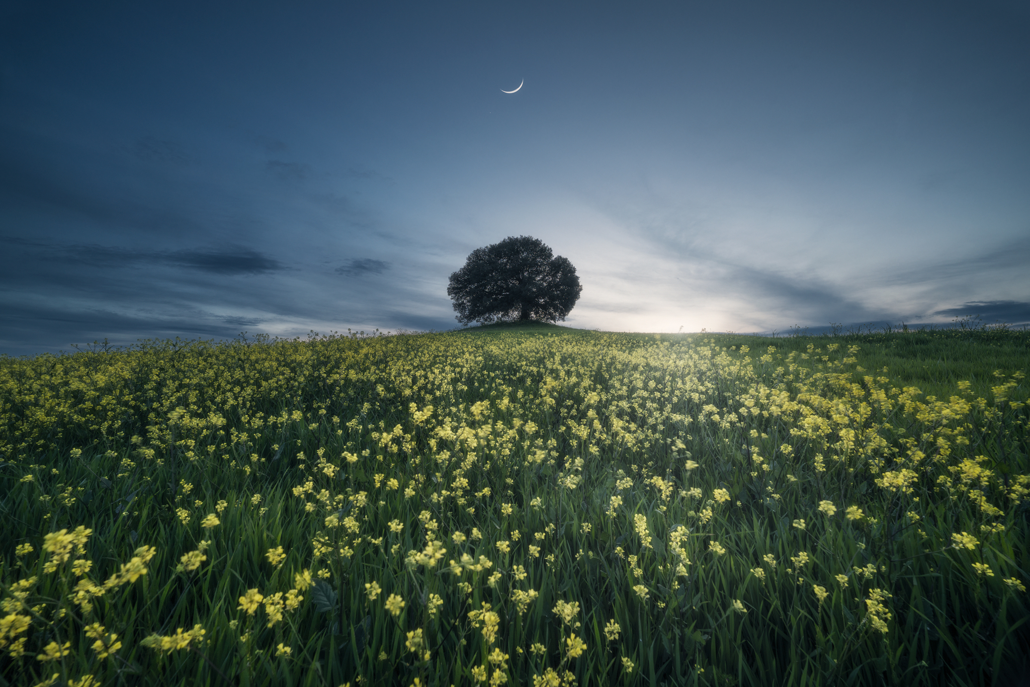 The lonely centenarian