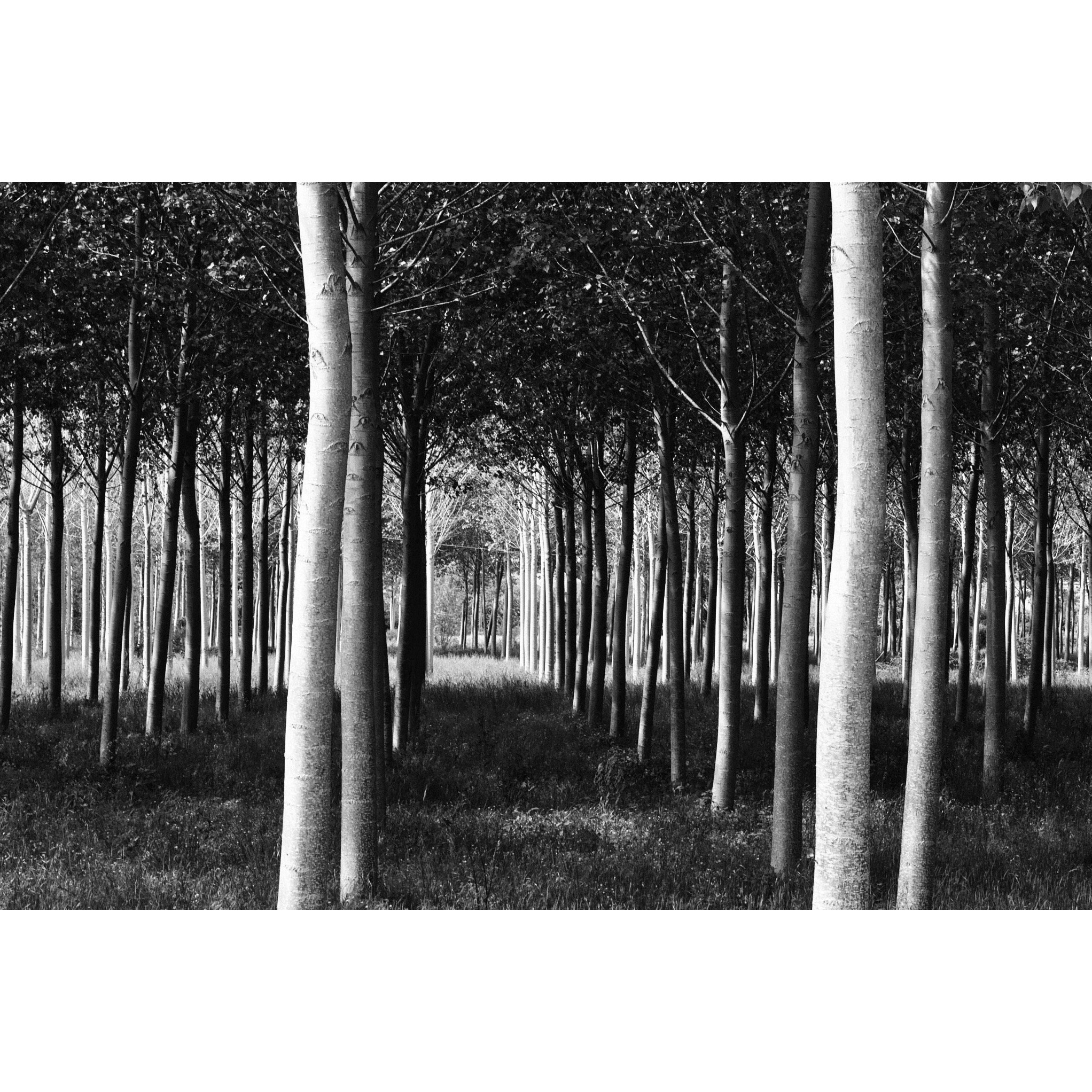 Untitled Photo