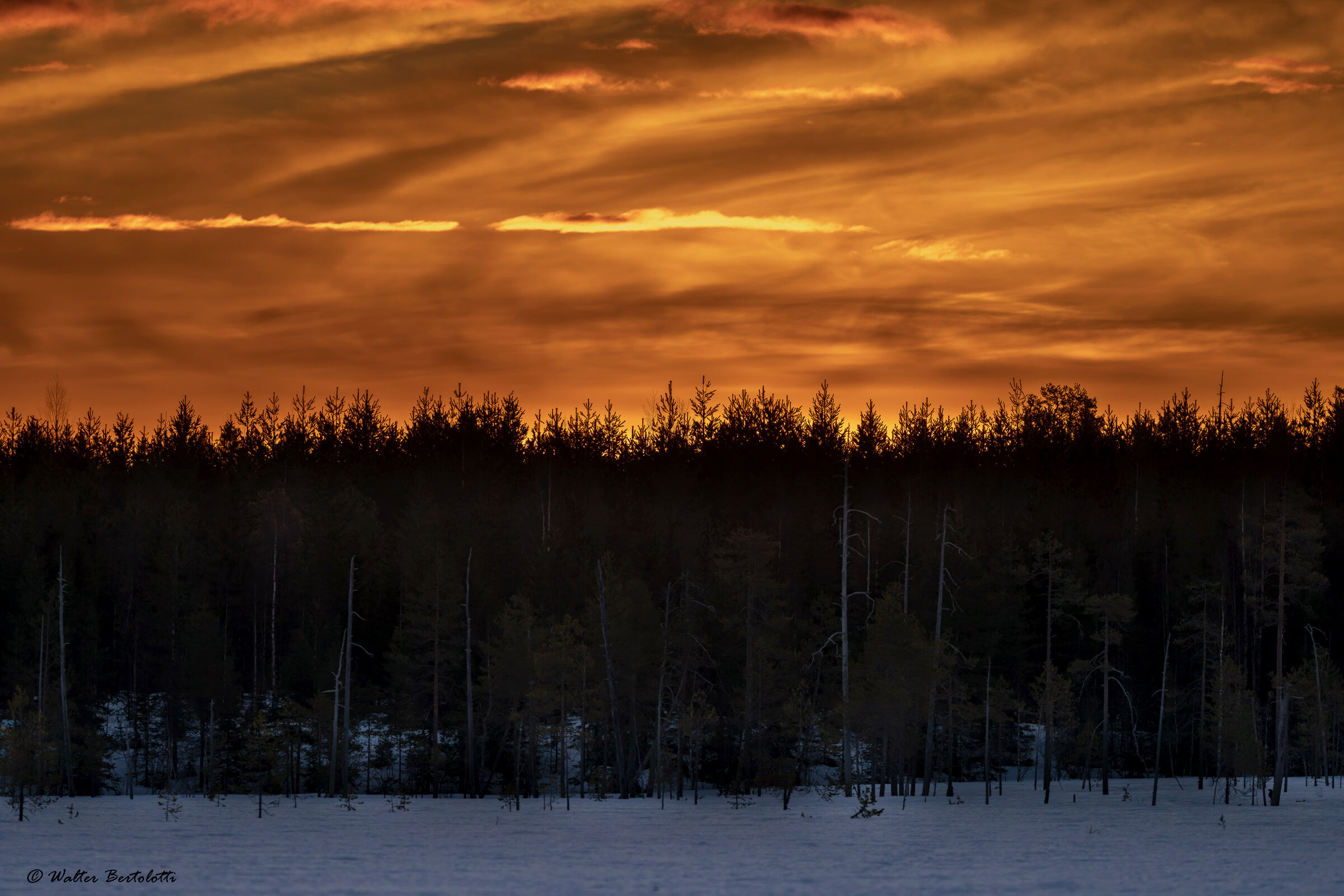 Sunrise on the Taiga