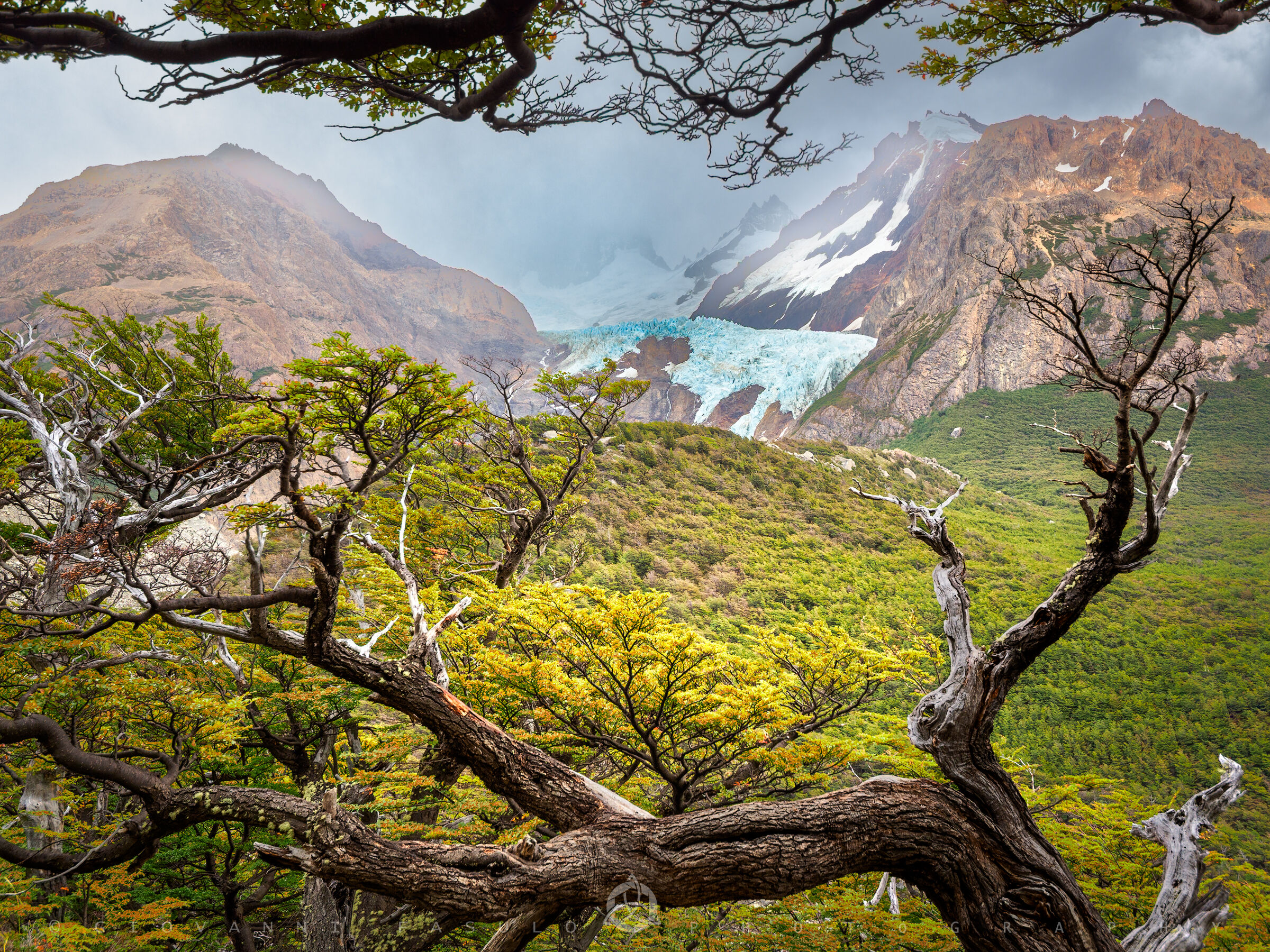 Glacier Piedras Blancas (El Chalten - Argentina)