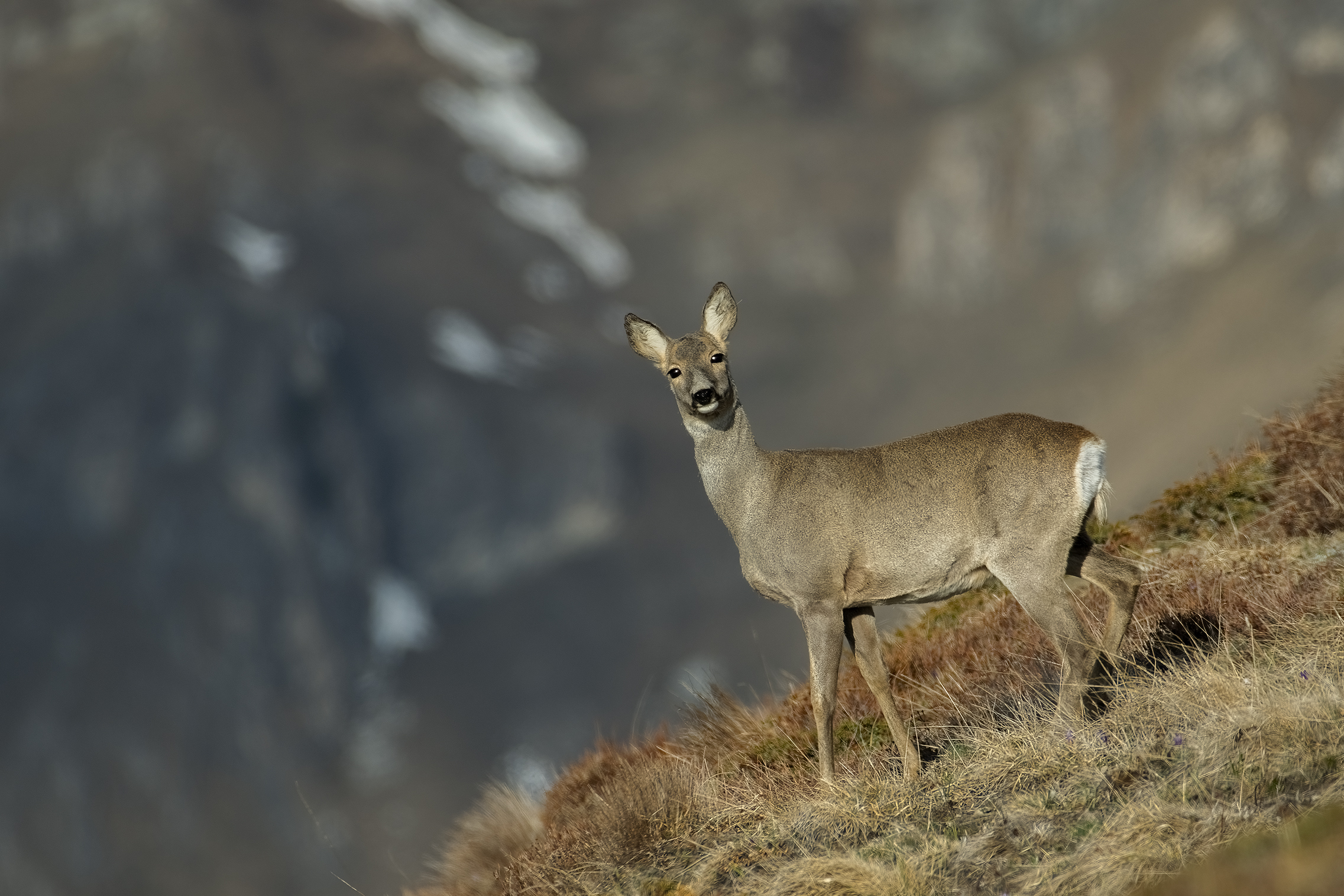 Il primo sole in quota