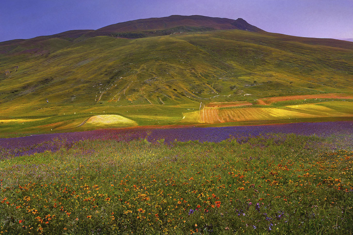 Plain of Castelluccio
