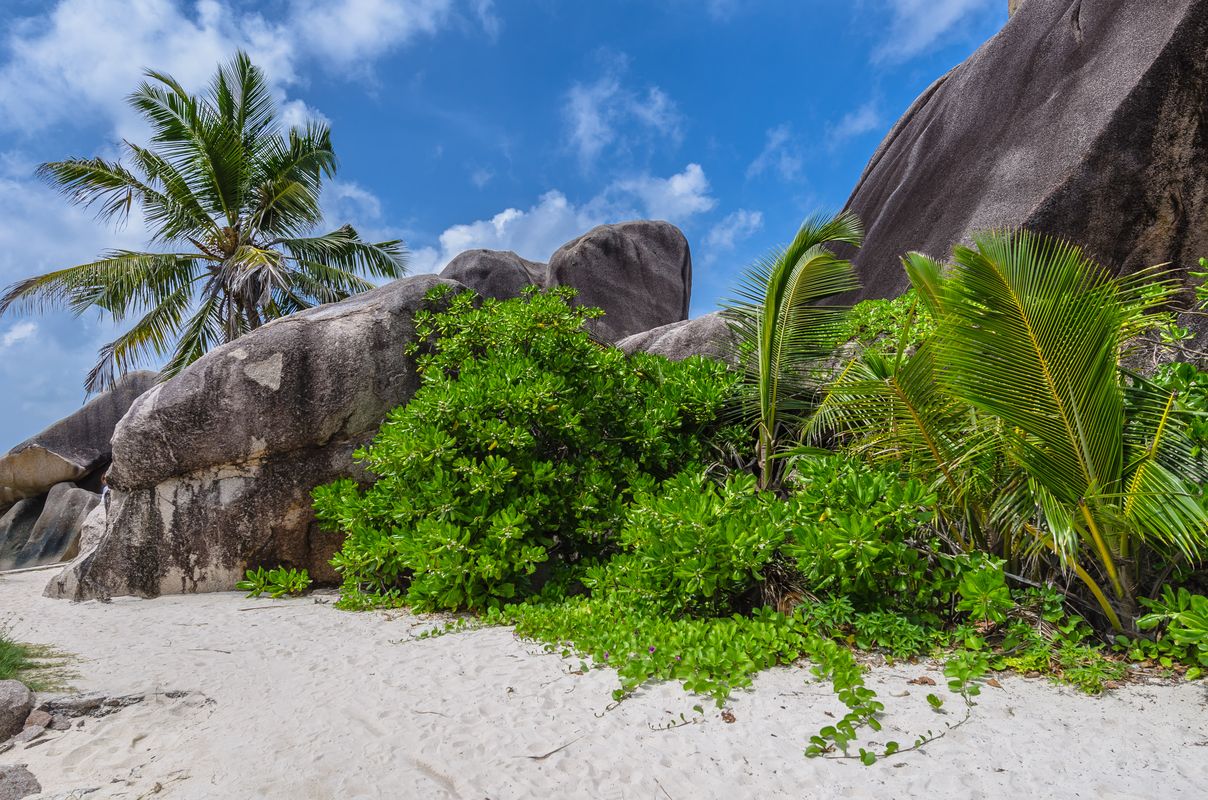 Seychelles - Anse Source d'Argent