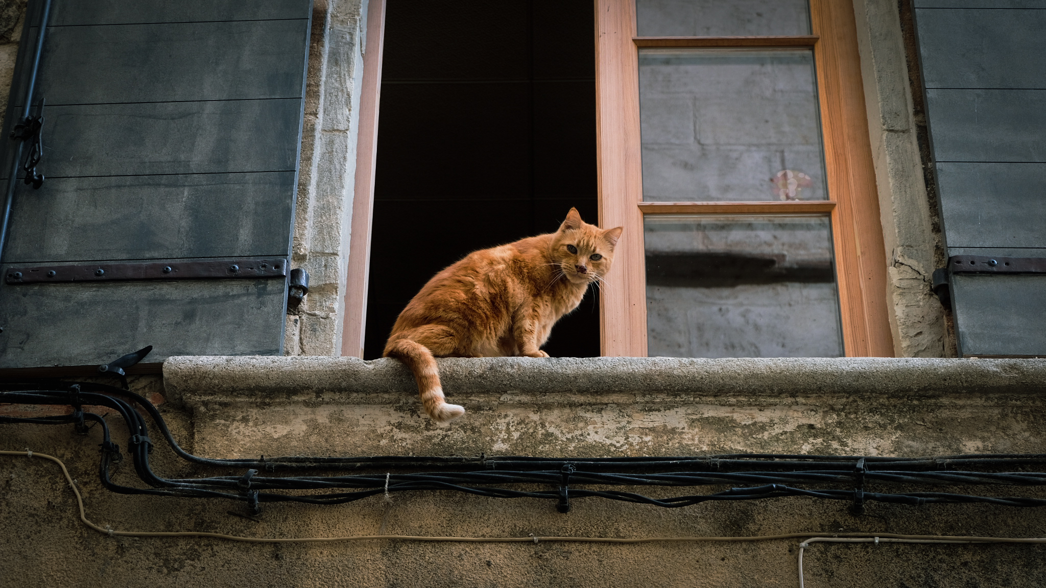 Chats