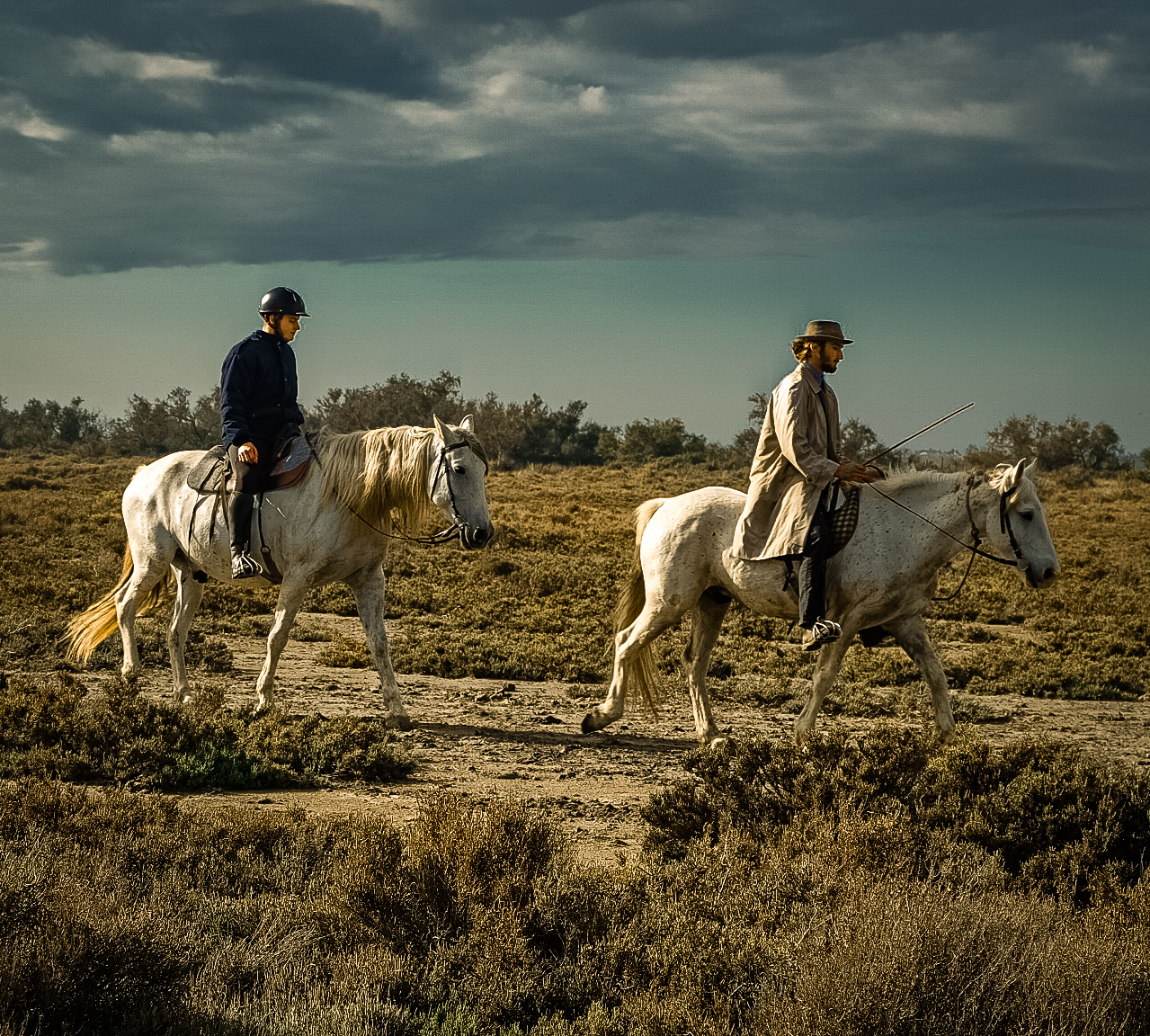 The Camargue