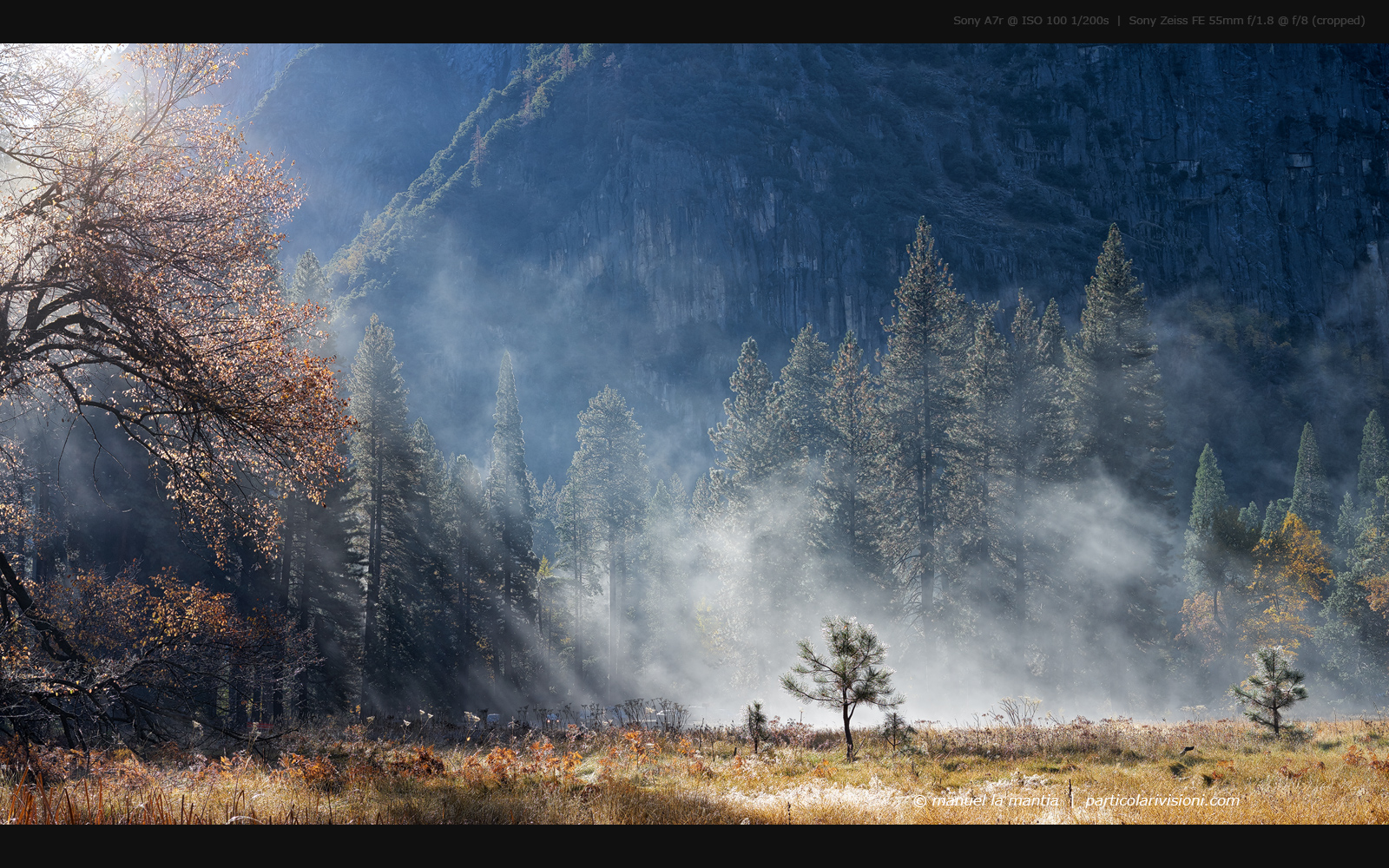 Yosemite Valley View