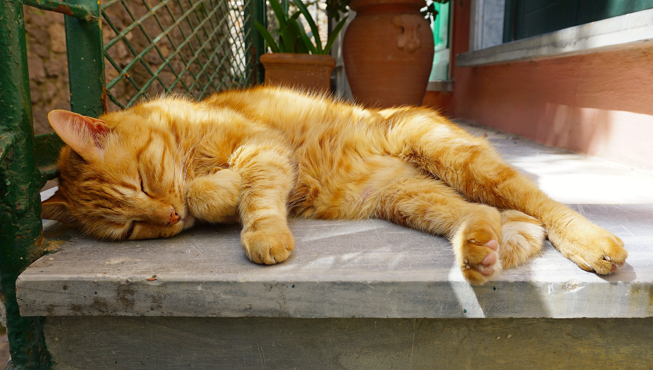 Il Biondo addormentato!