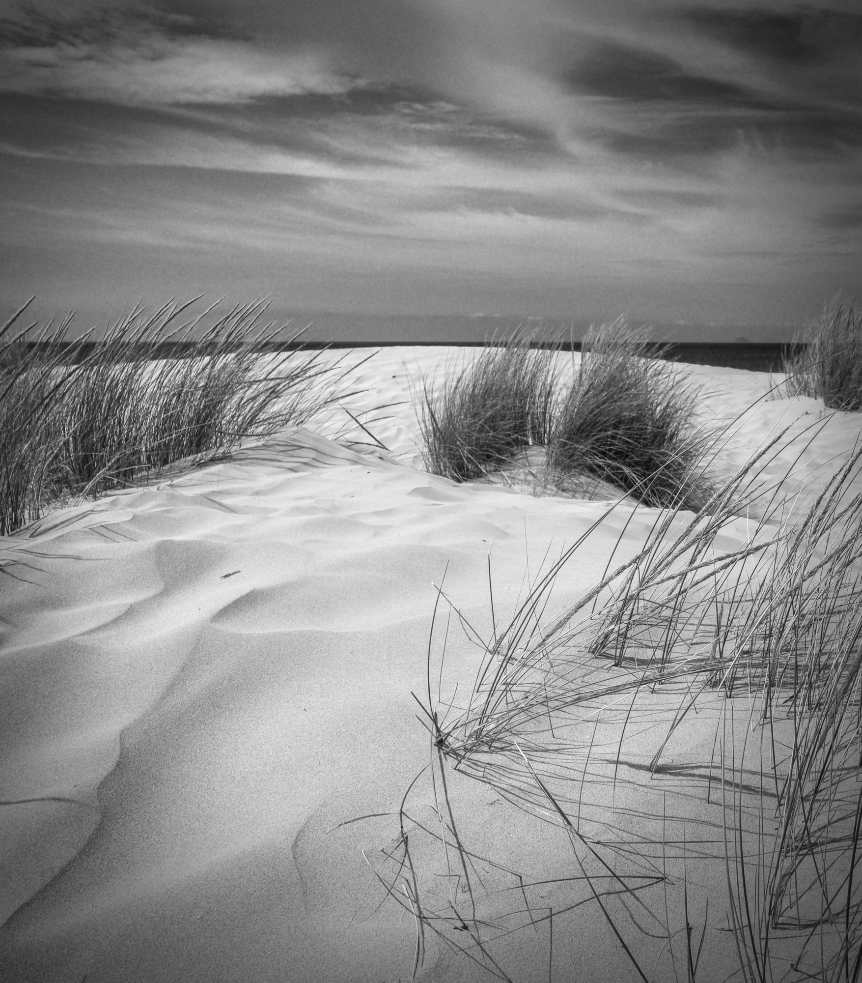 Untitled Photo