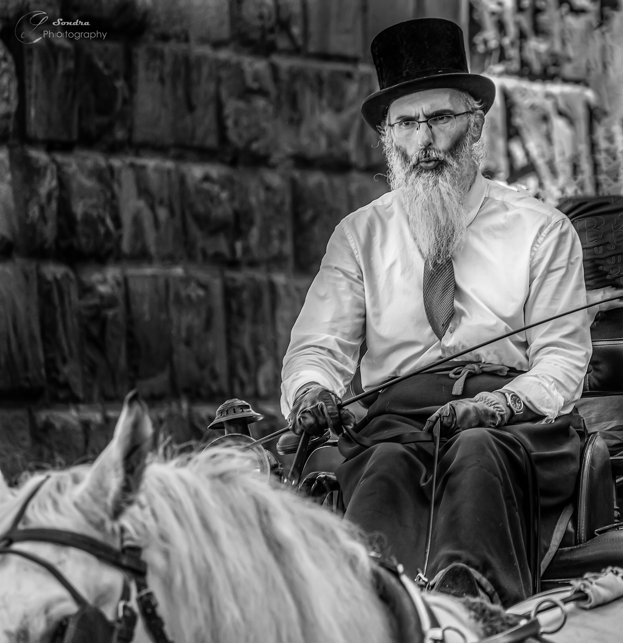 il cocchiere a Firenze