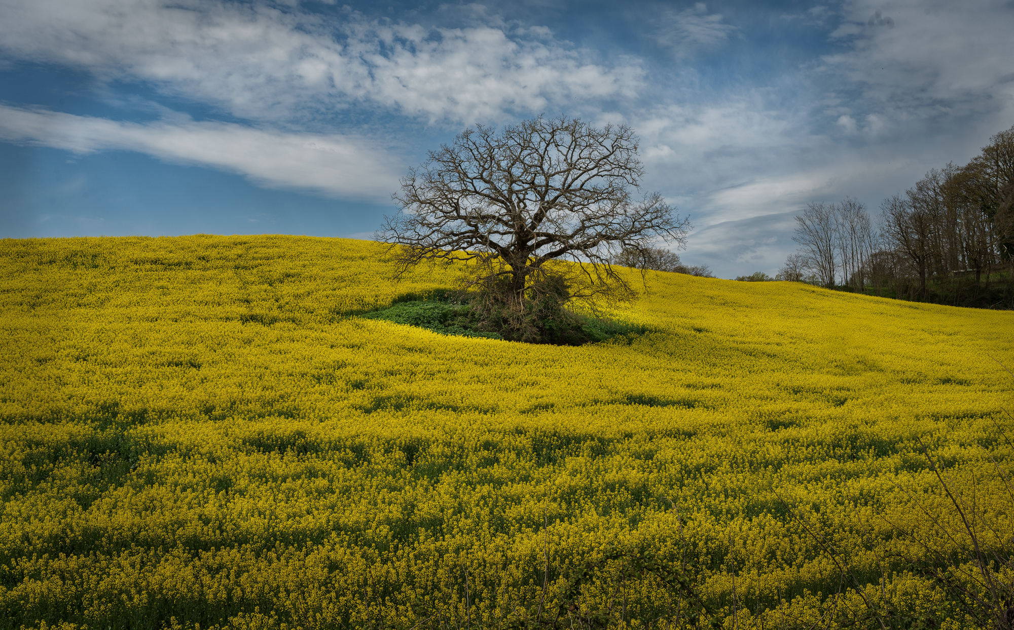 Spring