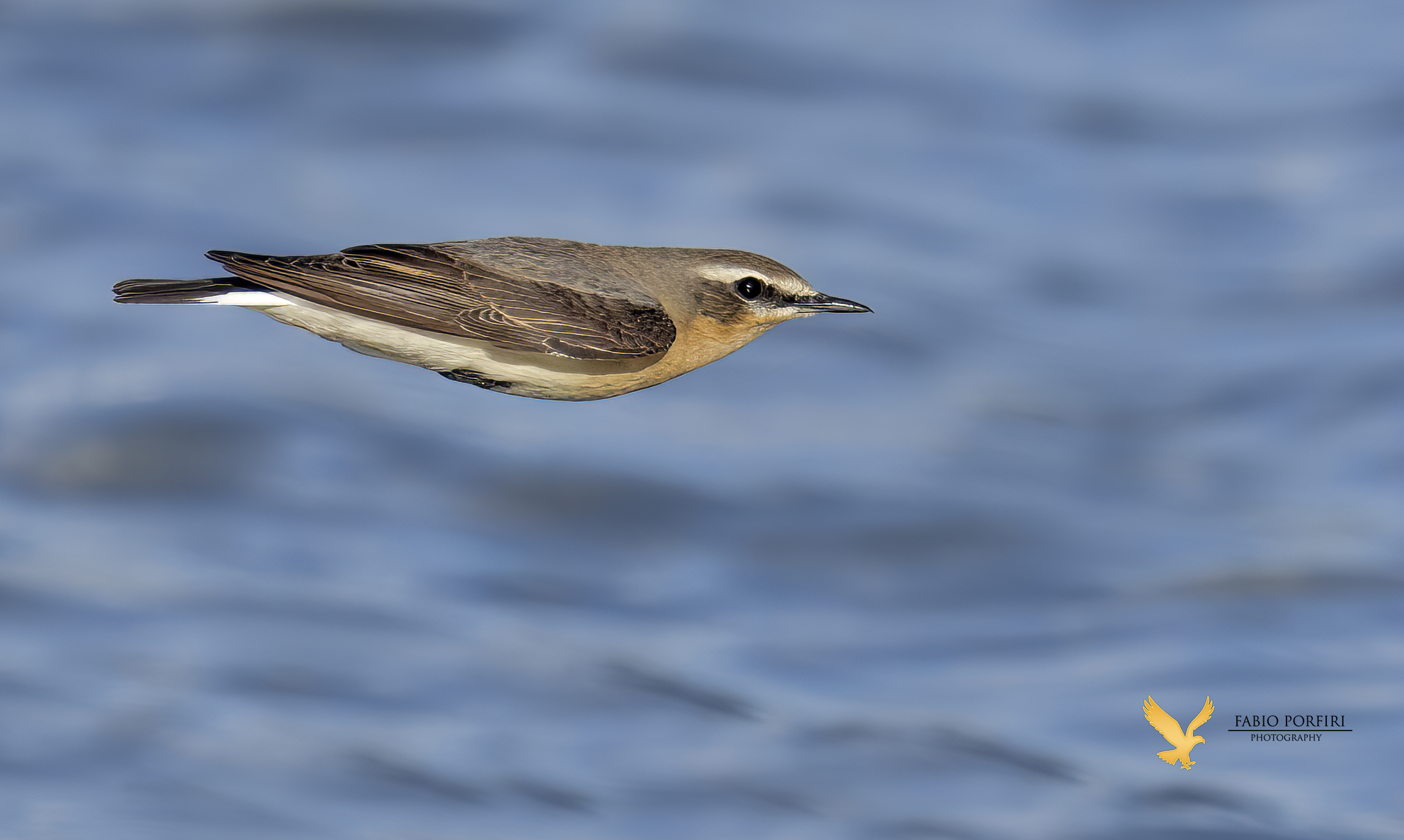 on the waves of the sea culbianco ... (a missile)