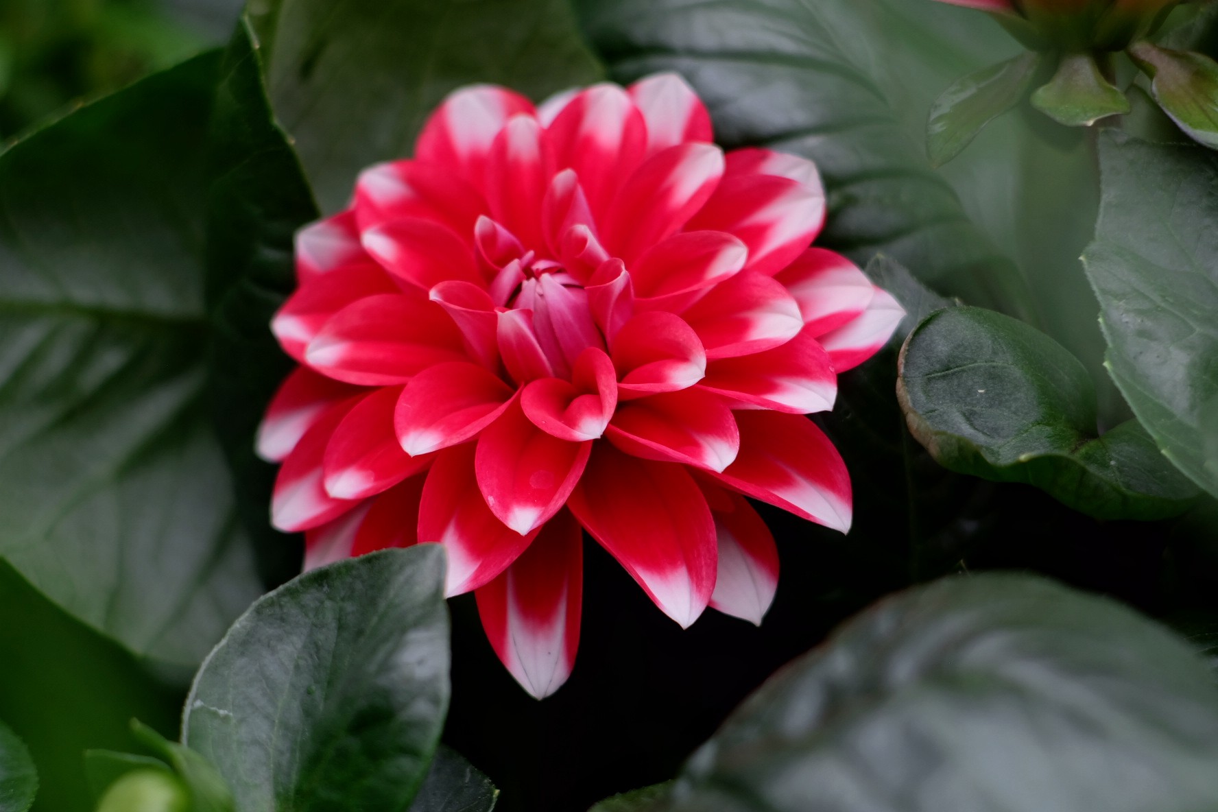 Dalla terra al digitale