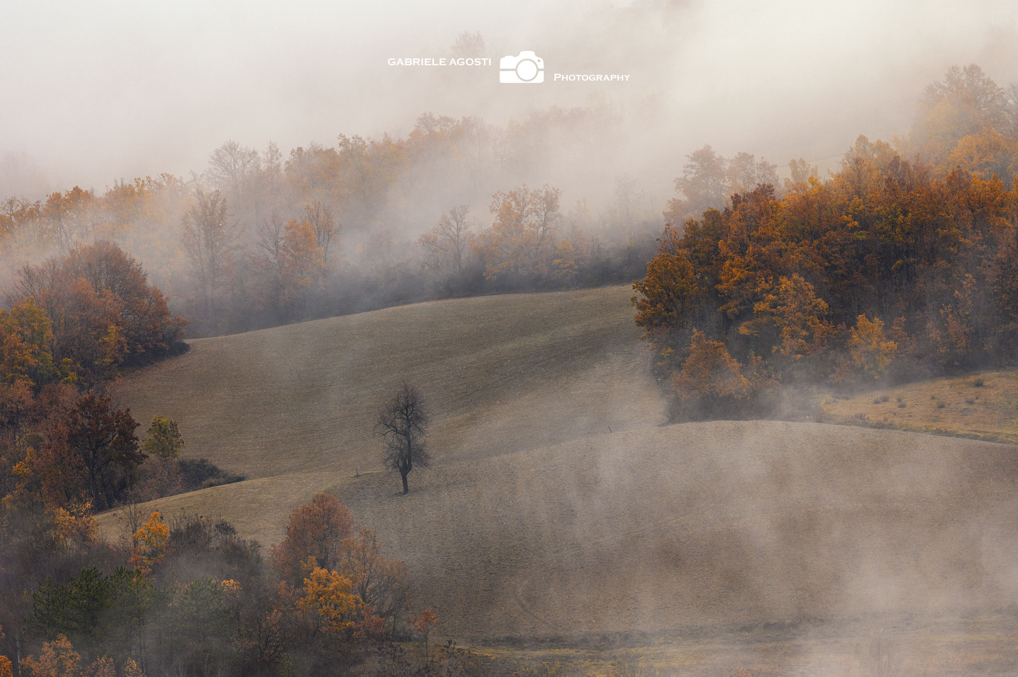 Una mattina d'inverno