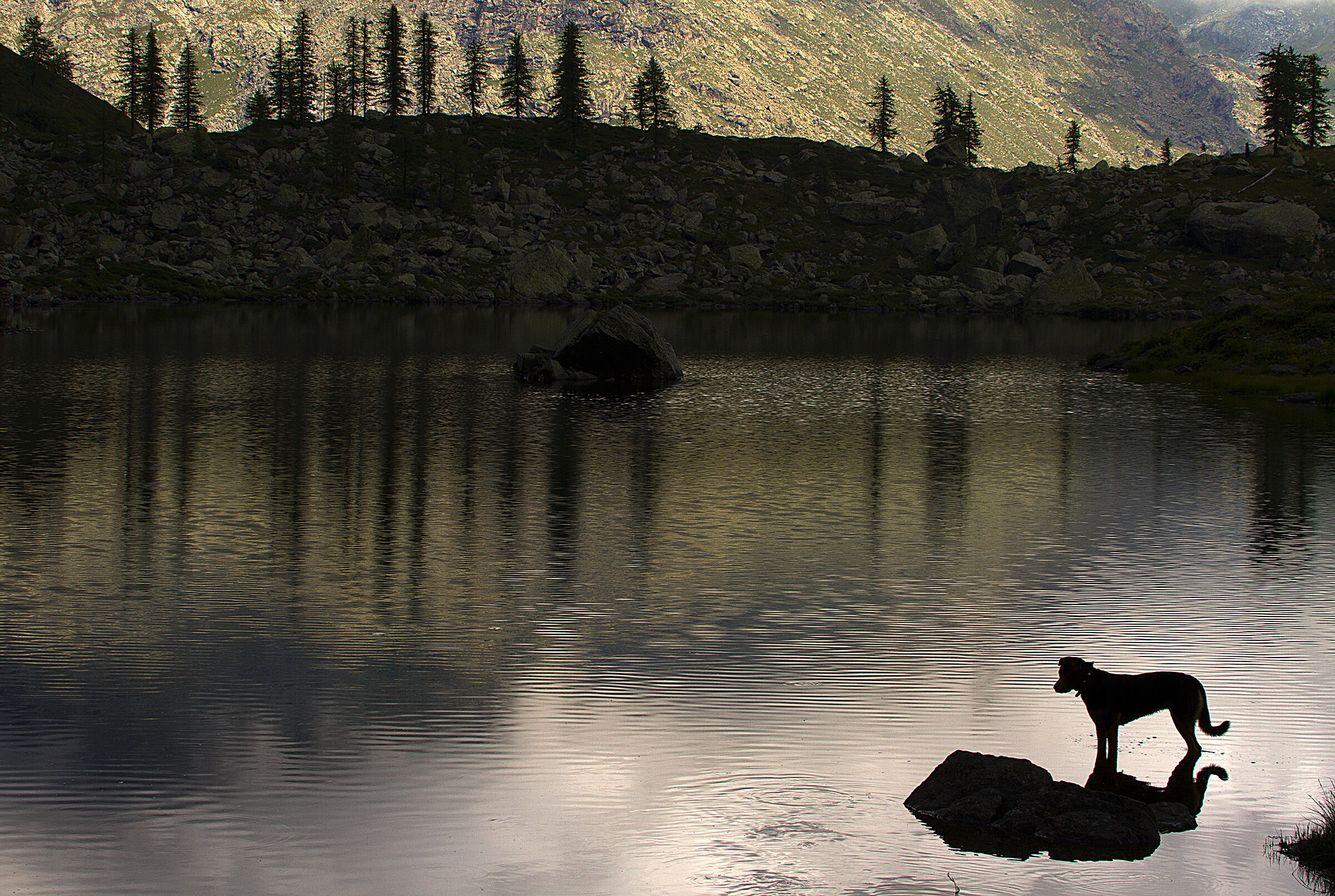 Ira controluce - Lago Afframont