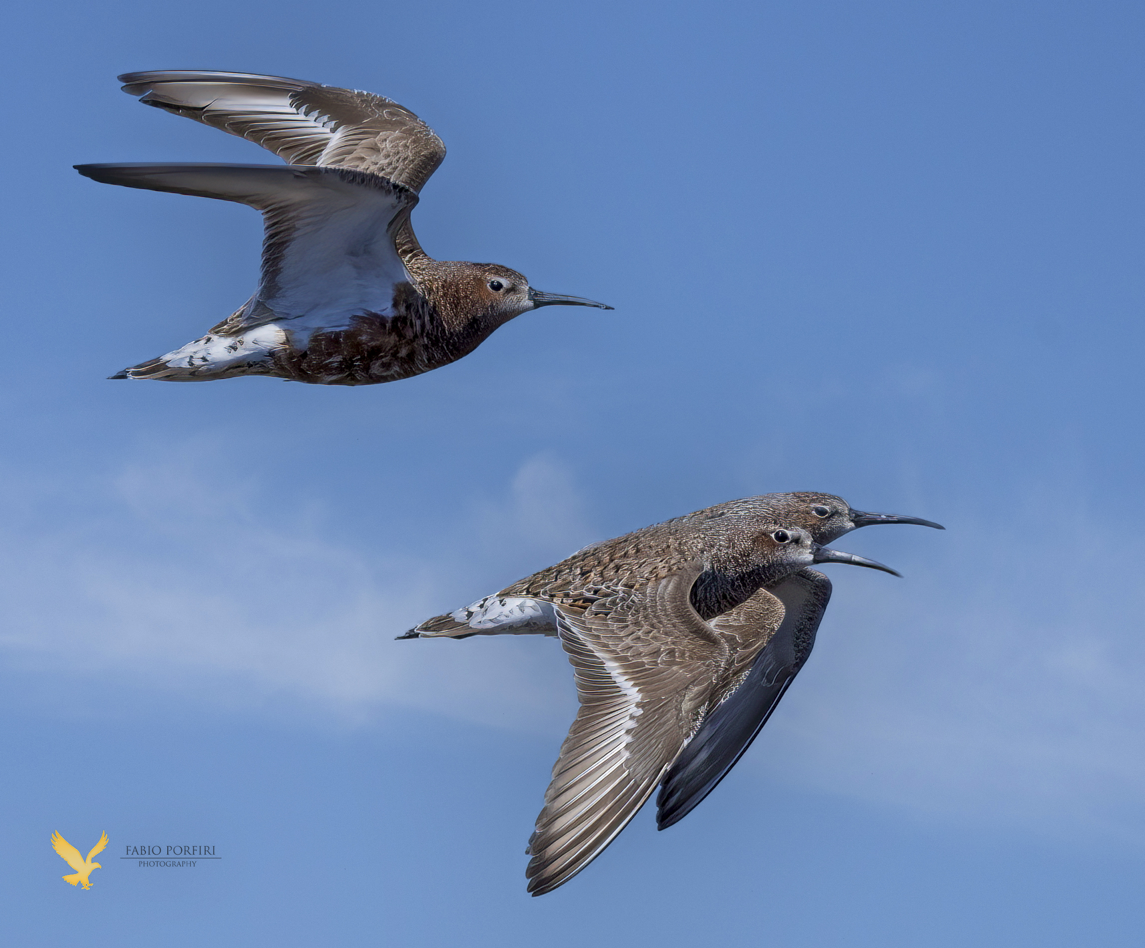 il sorpasso piovanelli